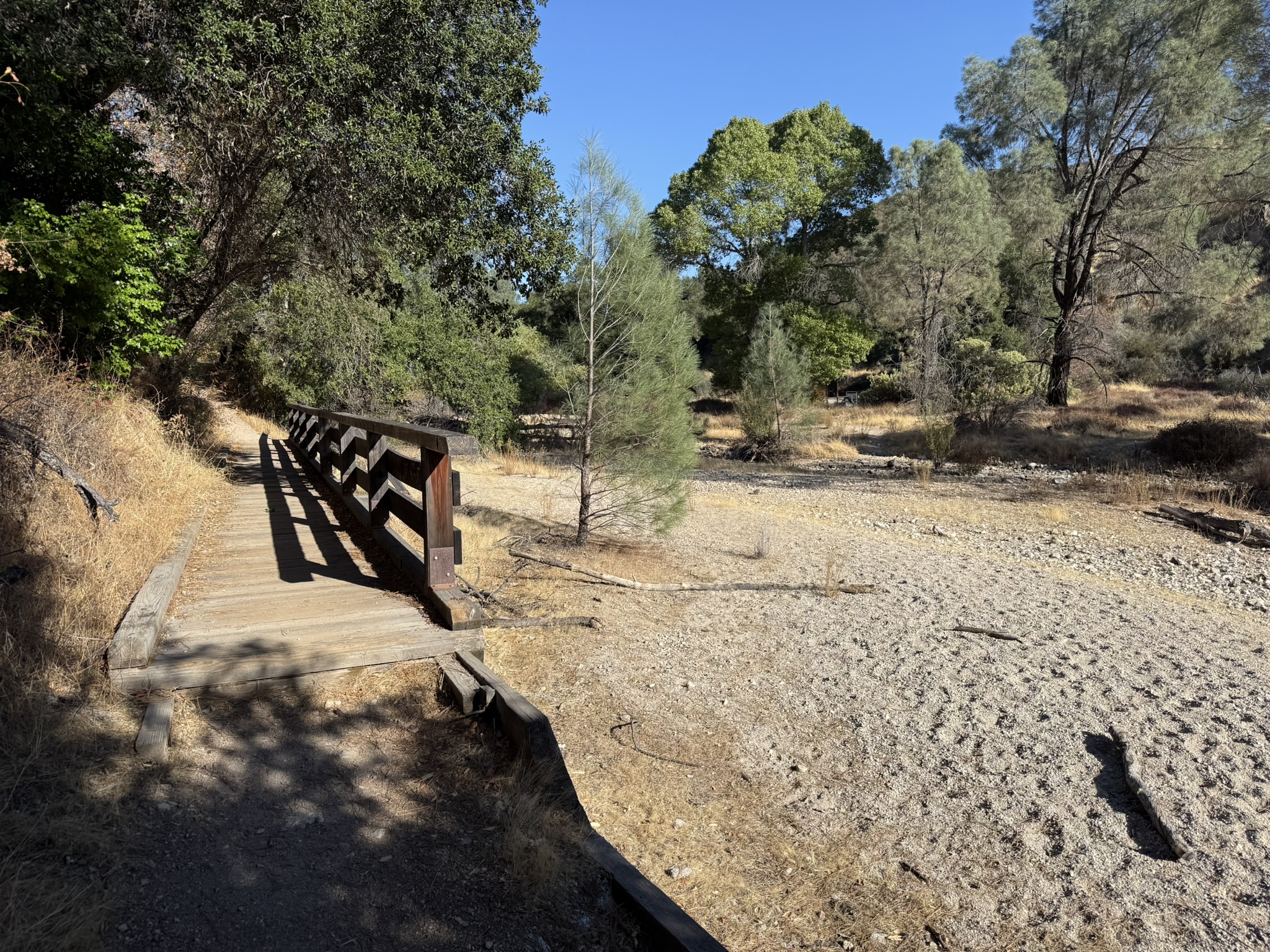 Bench Trail