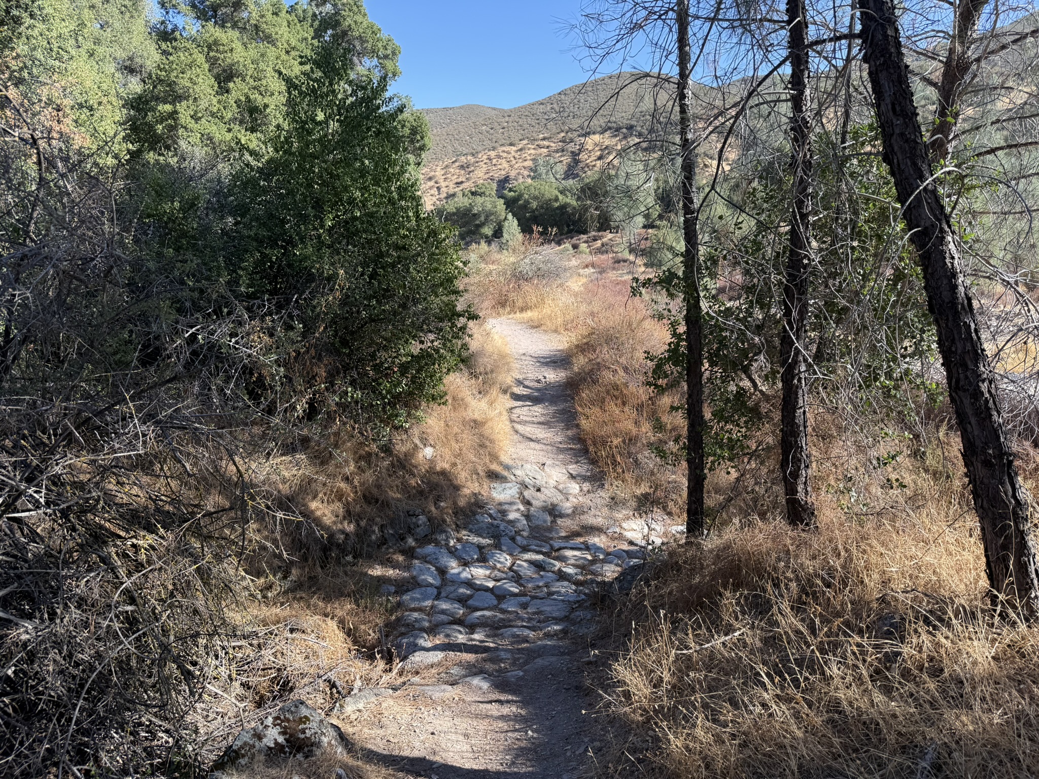 Bench Trail