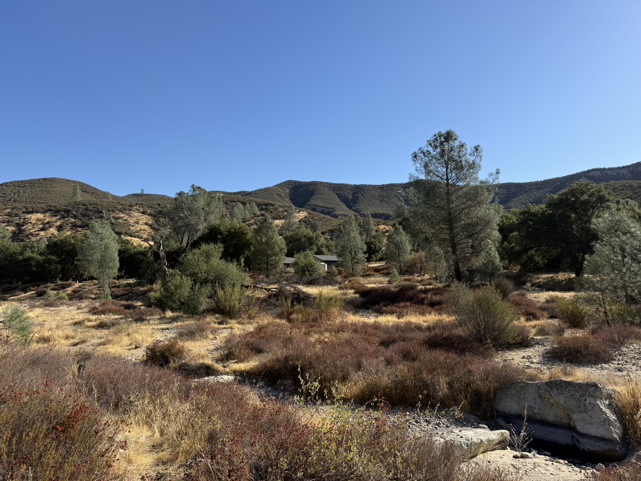 Bench Trail