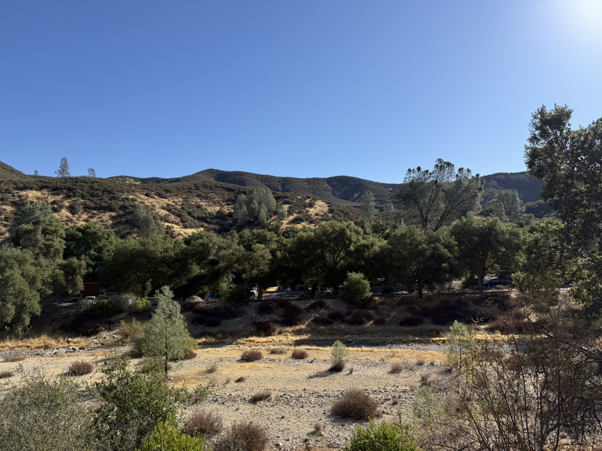 Bench Trail