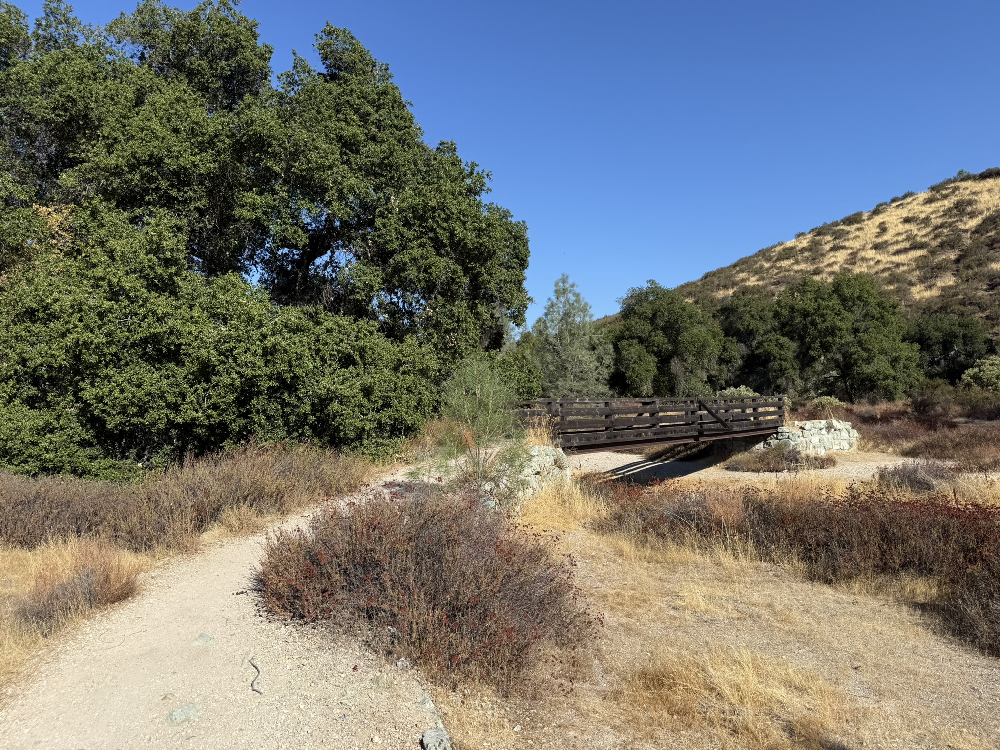 Bench Trail