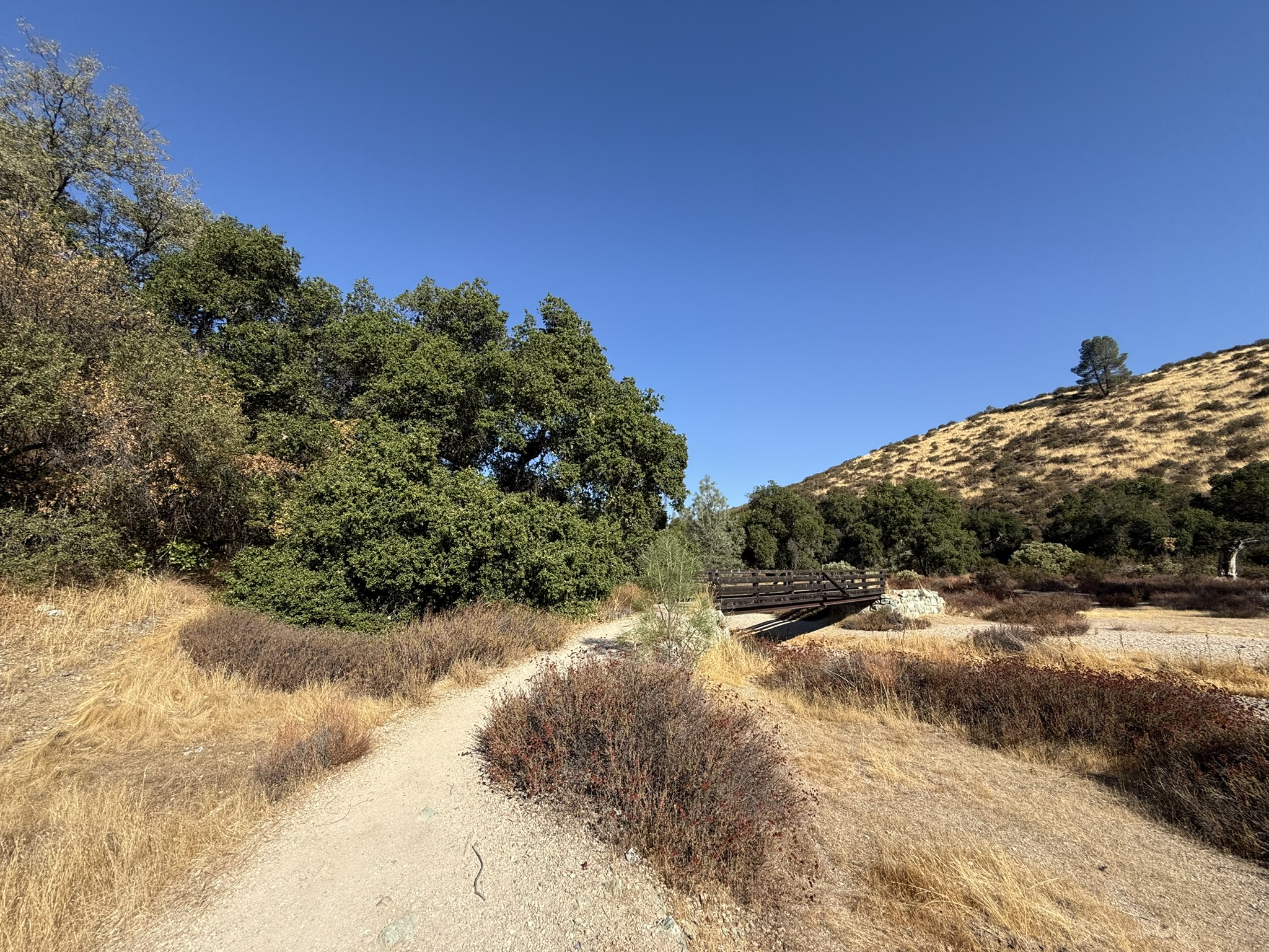 Bench Trail