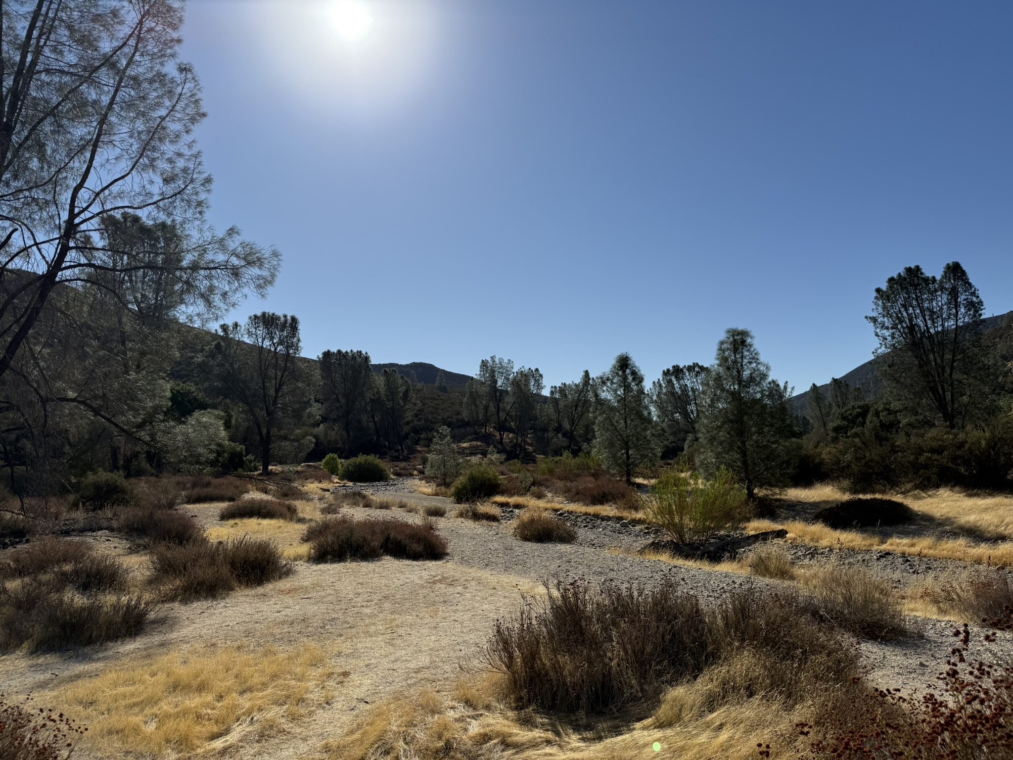 Bench Trail