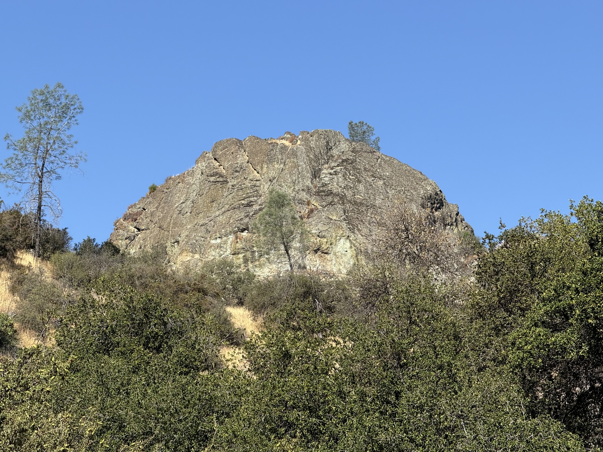 Old Pinnacles Trails