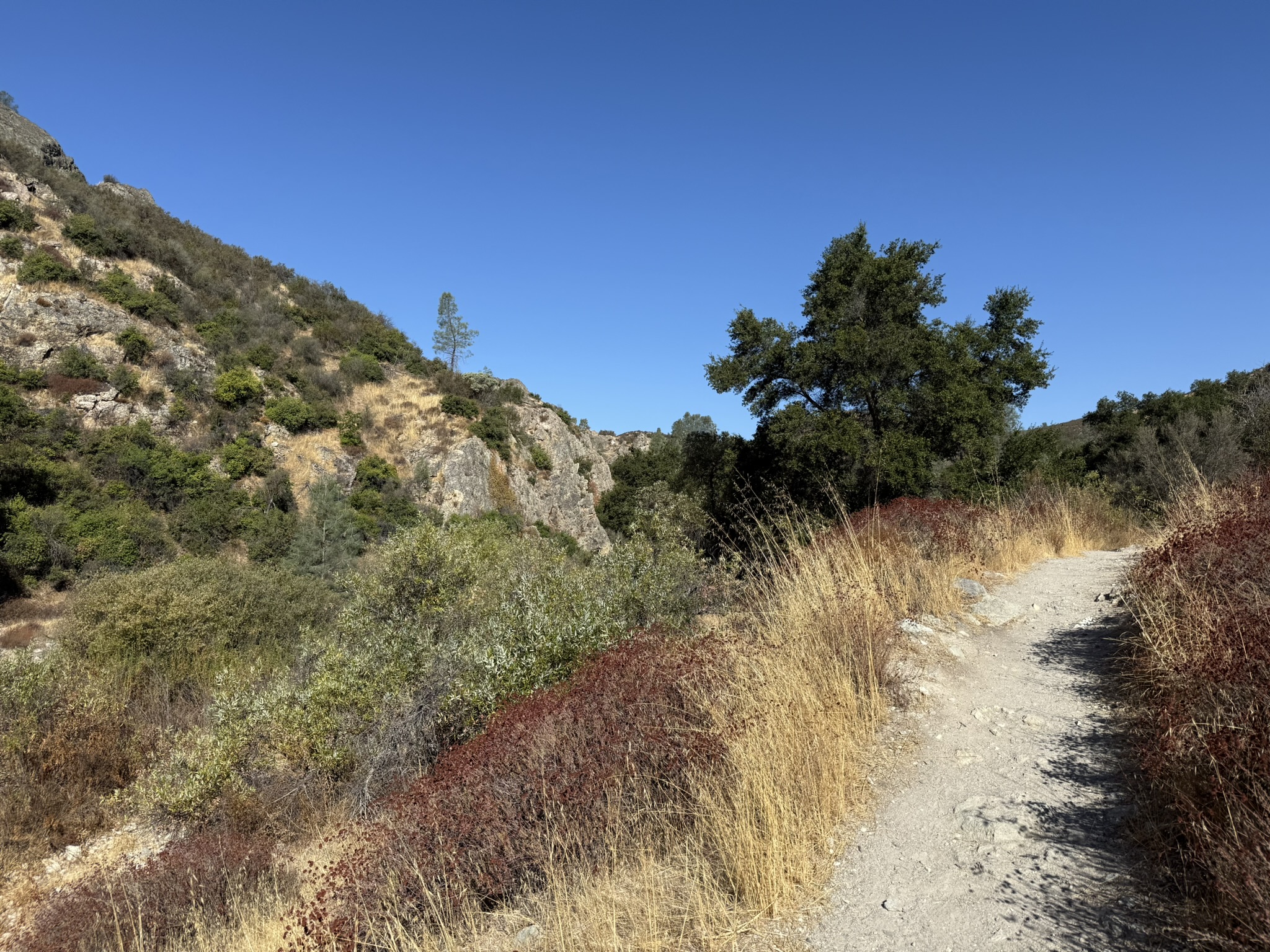 Old Pinnacles Trails