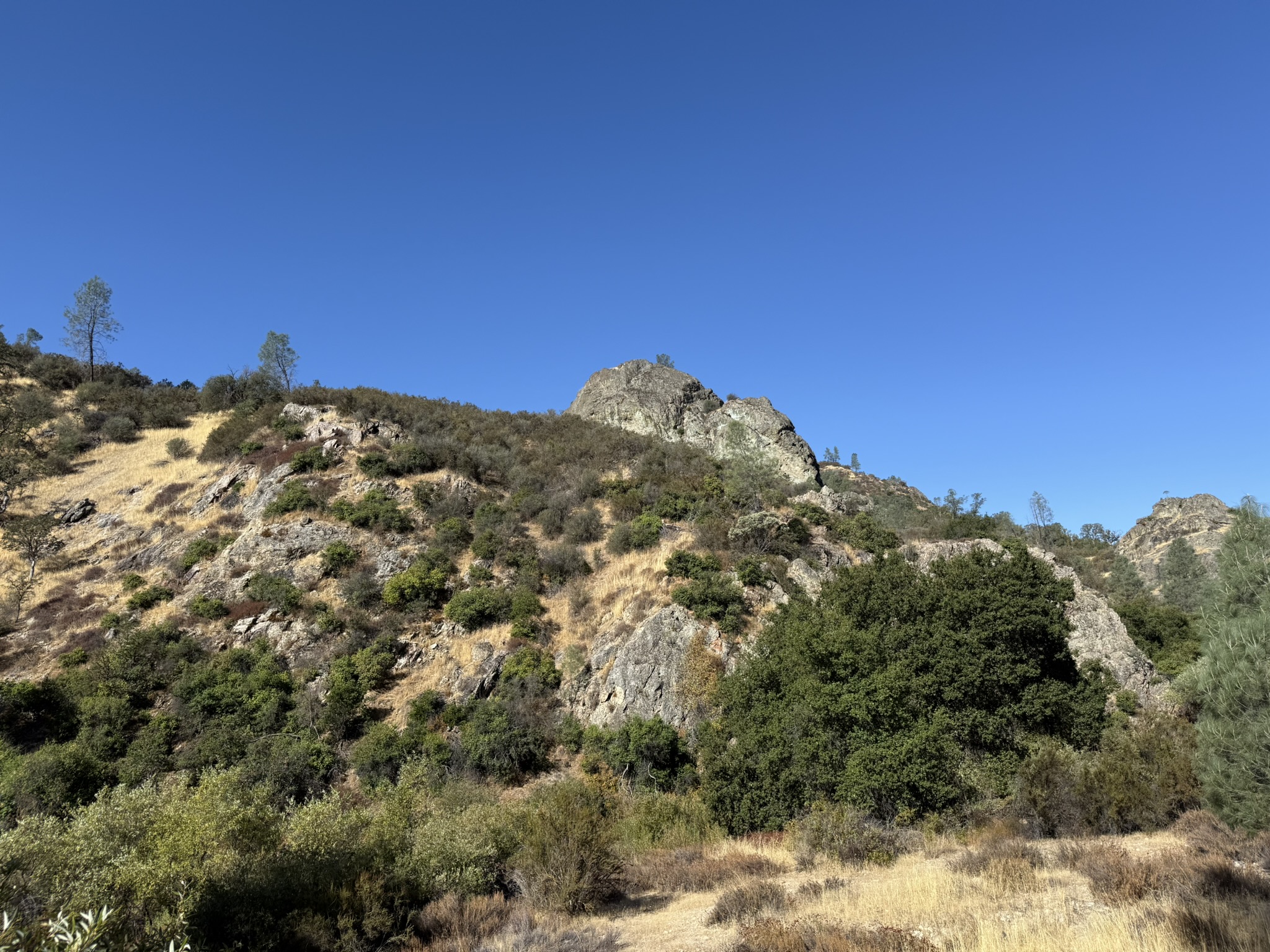 Old Pinnacles Trails