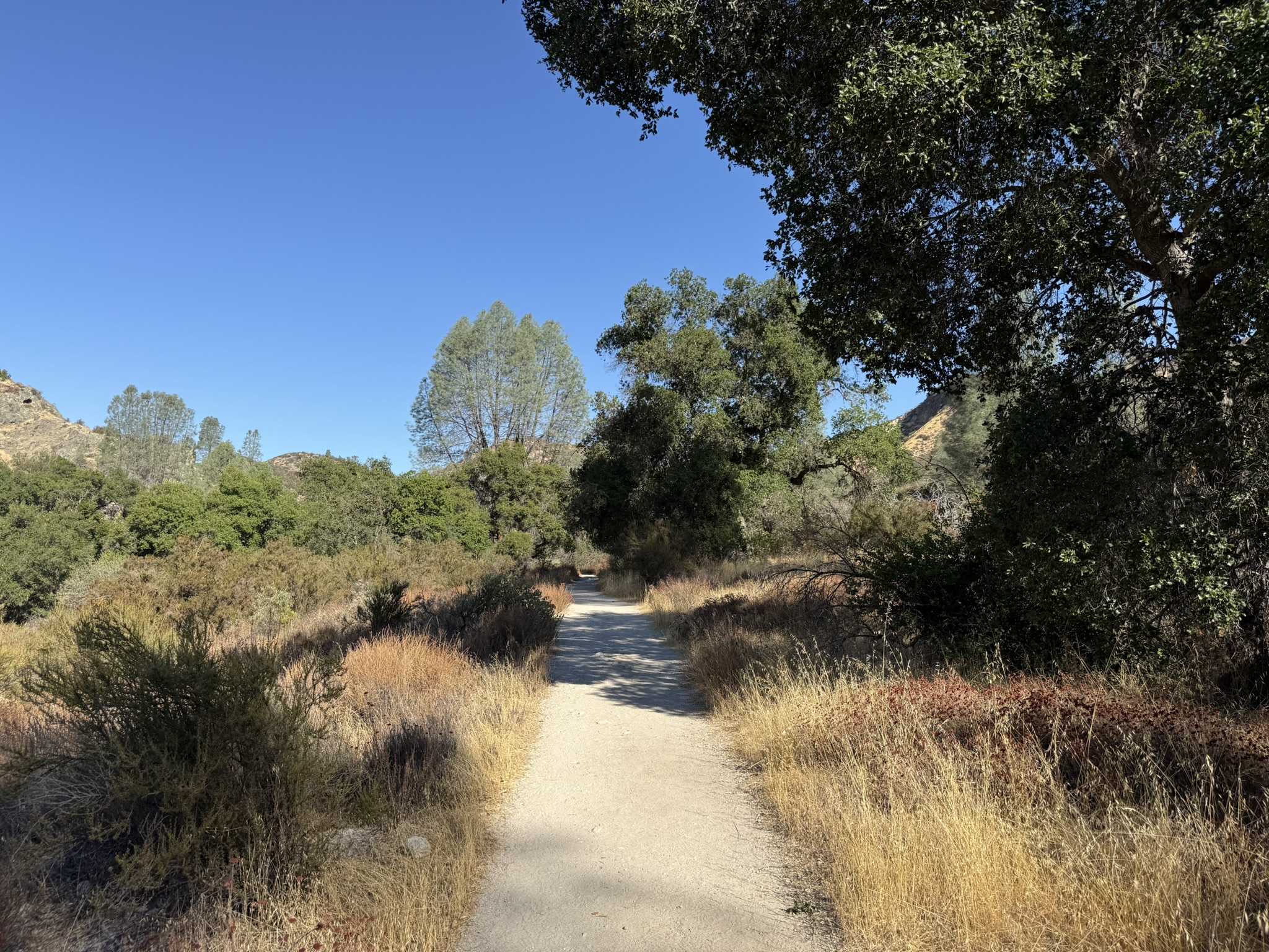 Old Pinnacles Trails