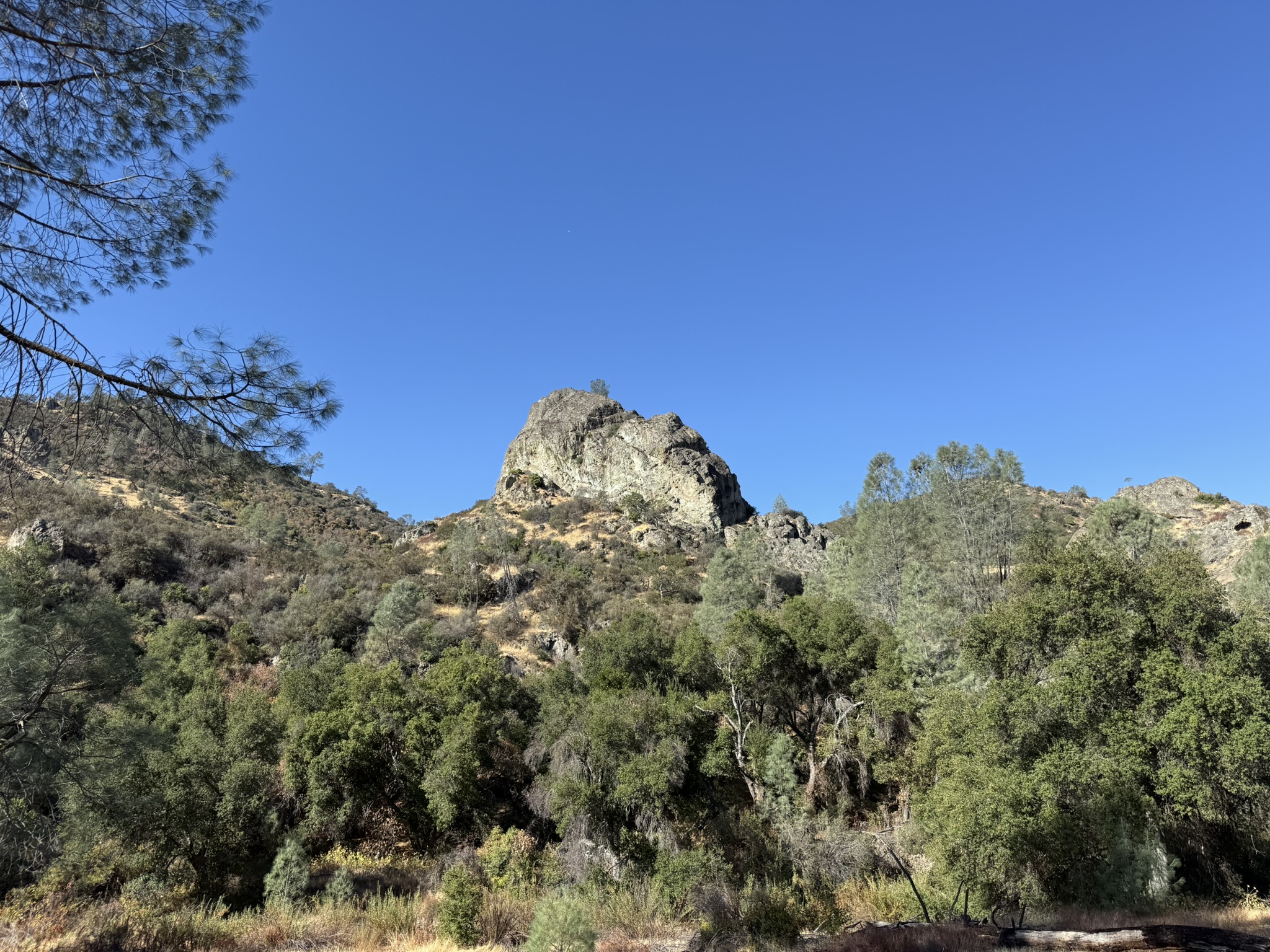 Old Pinnacles Trails