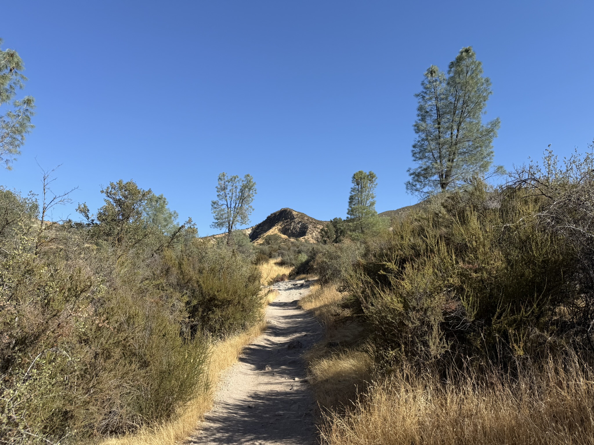 Old Pinnacles Trails