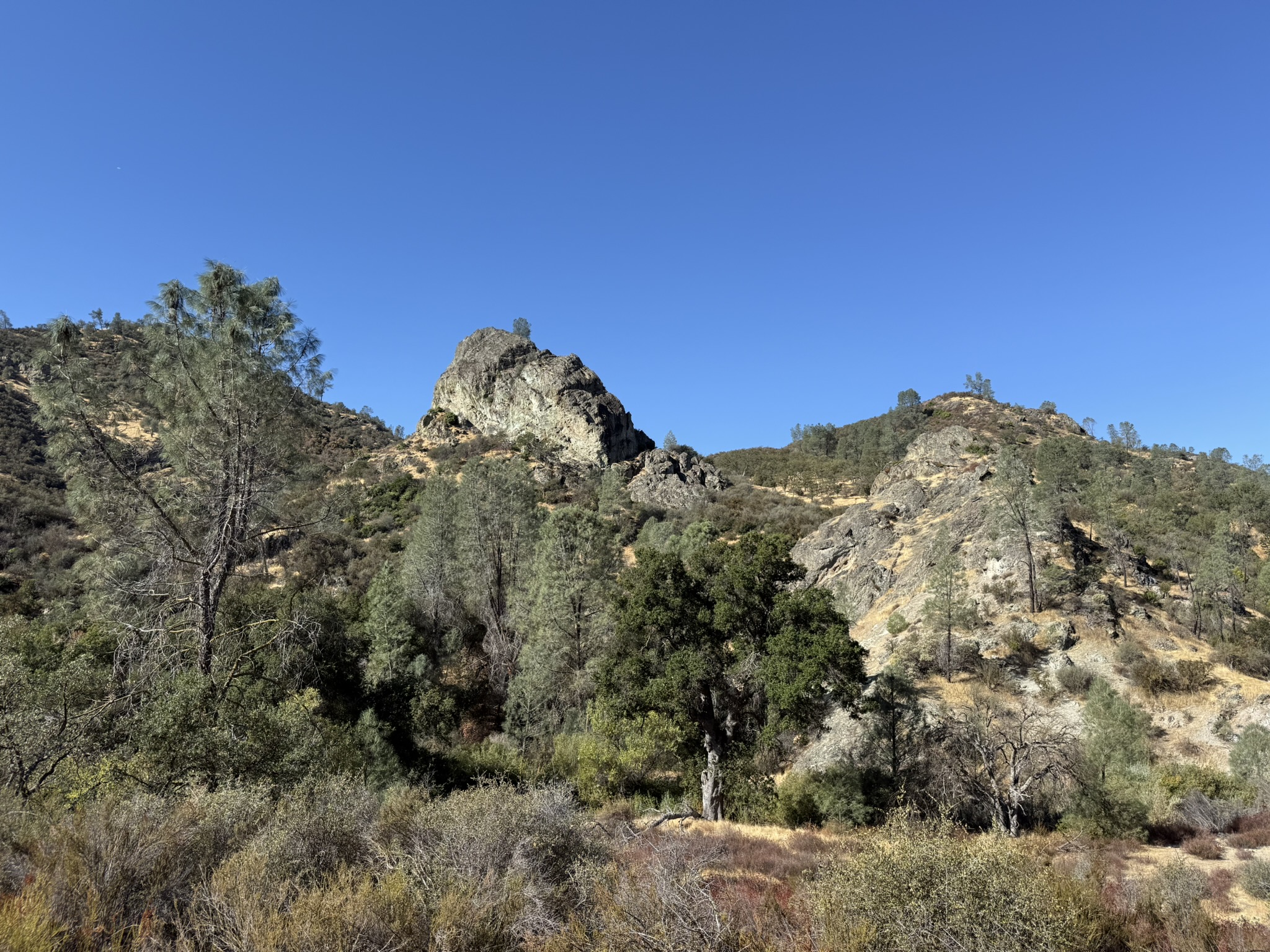 Old Pinnacles Trails