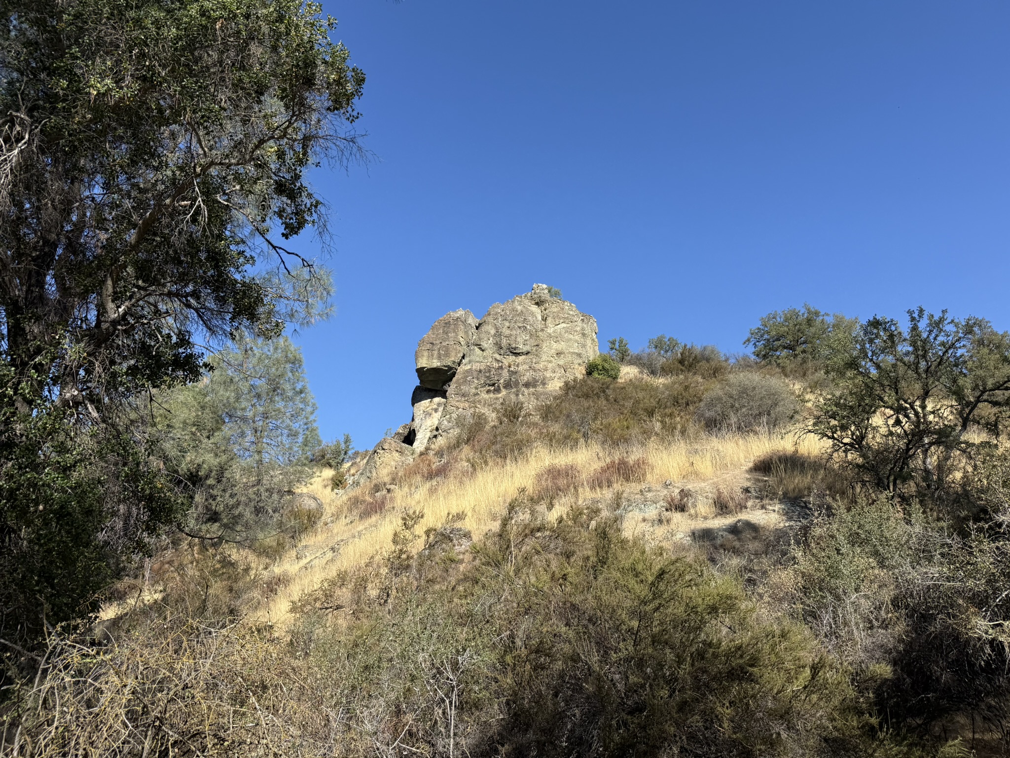 Old Pinnacles Trails