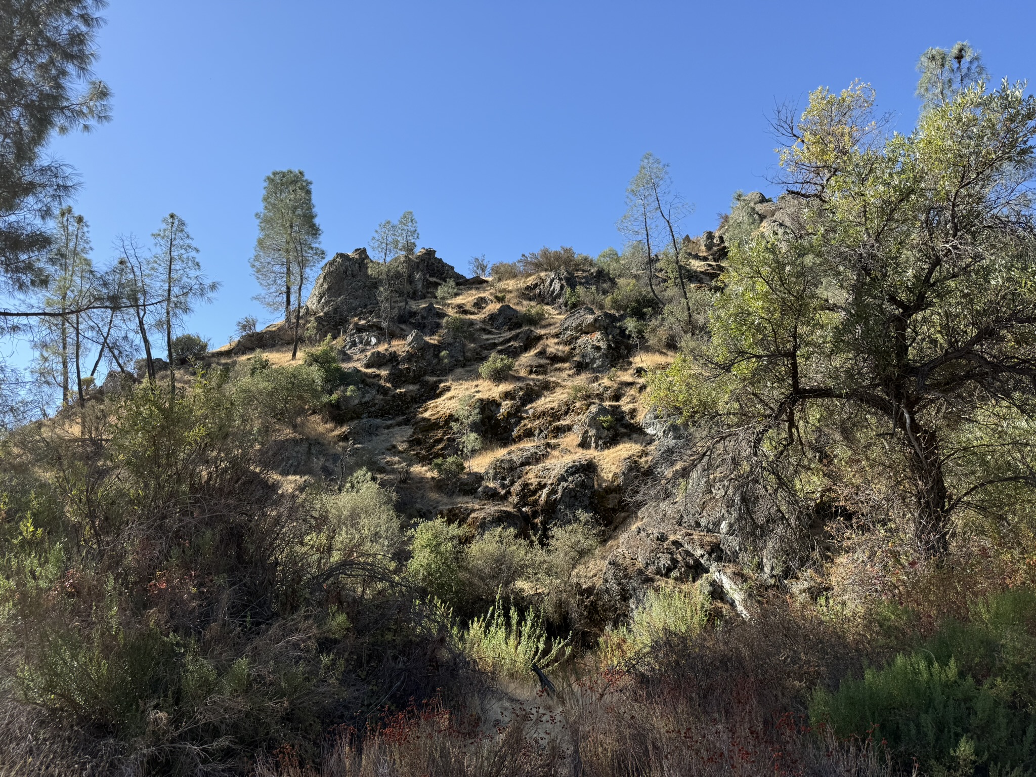 Old Pinnacles Trails