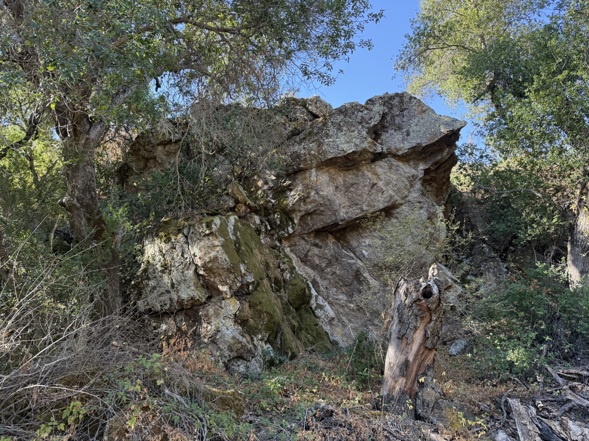 Old Pinnacles Trails