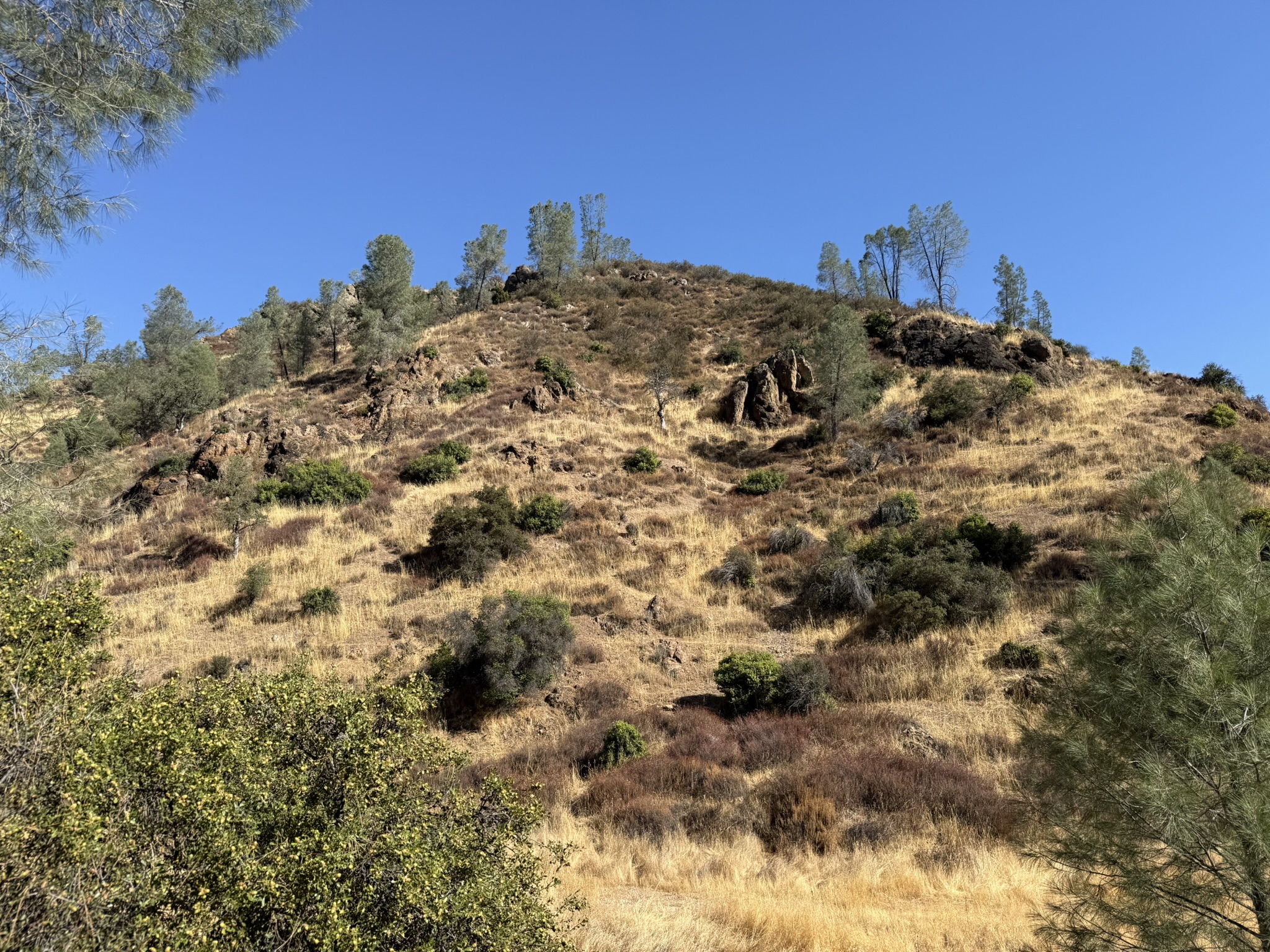 Old Pinnacles Trails