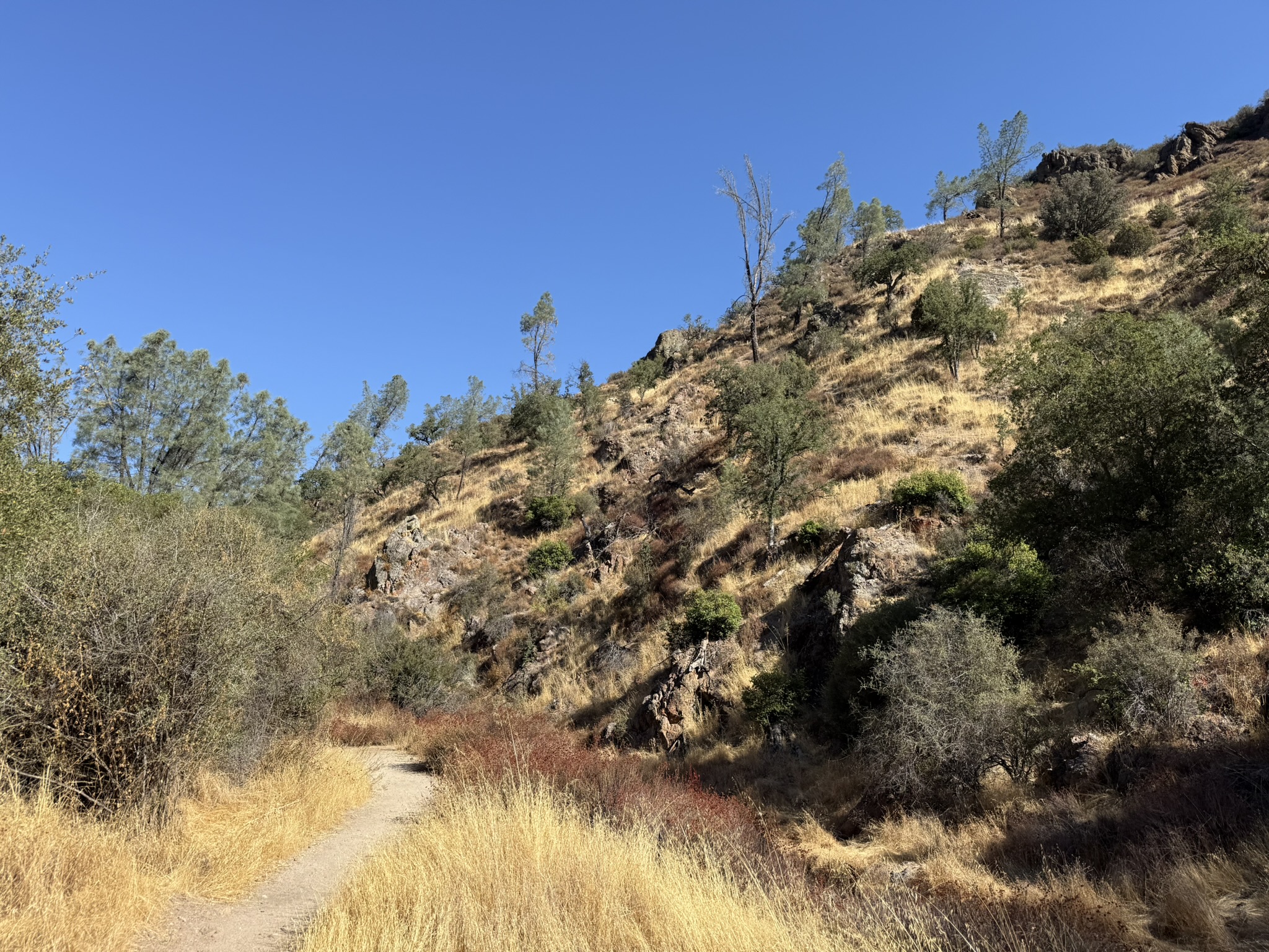 Old Pinnacles Trails