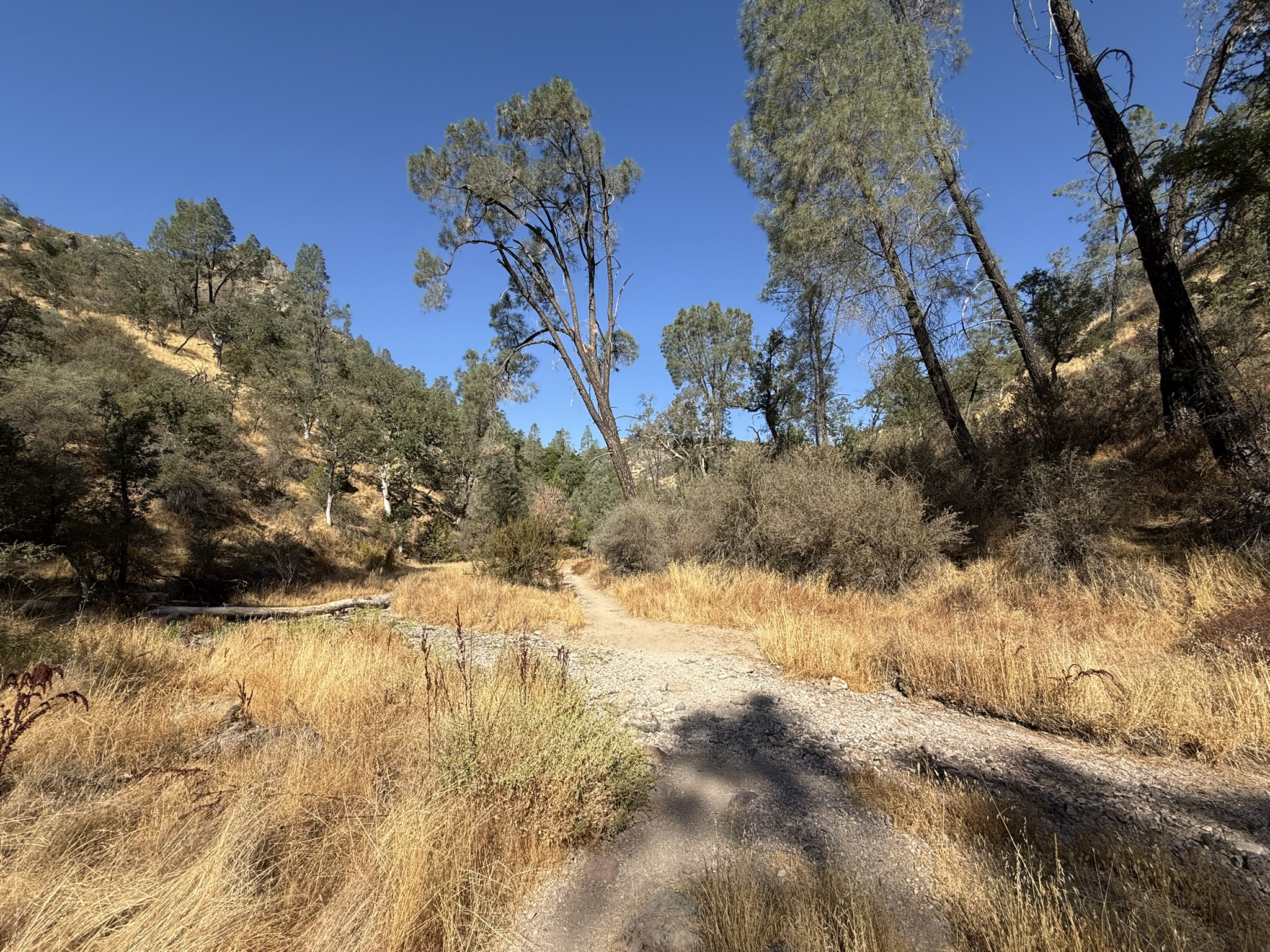 Old Pinnacles Trails