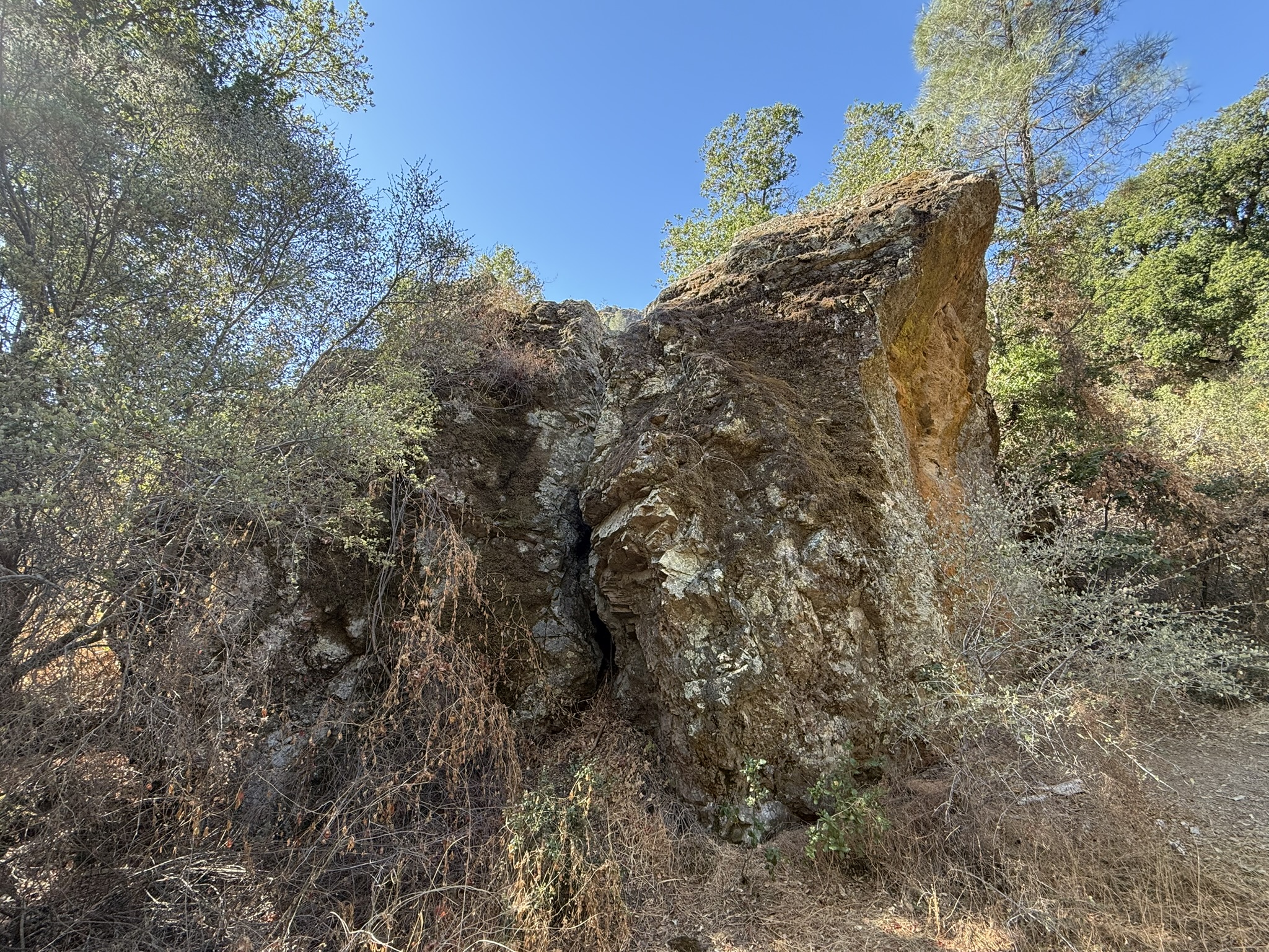 Old Pinnacles Trails