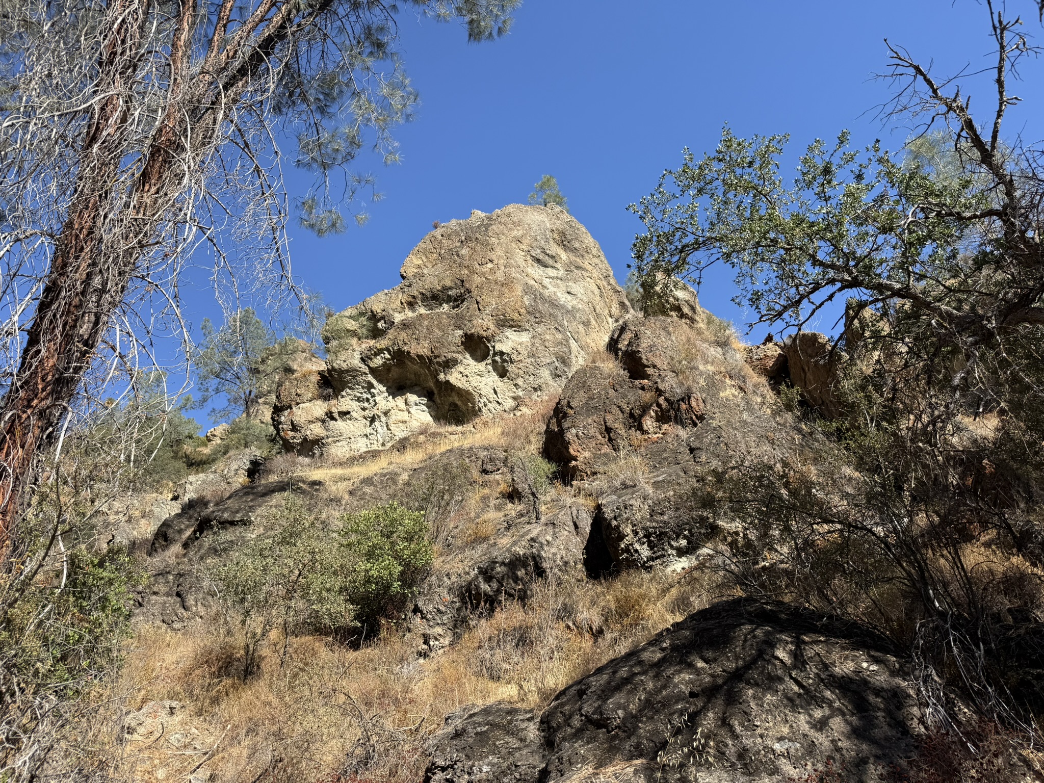 Old Pinnacles Trails