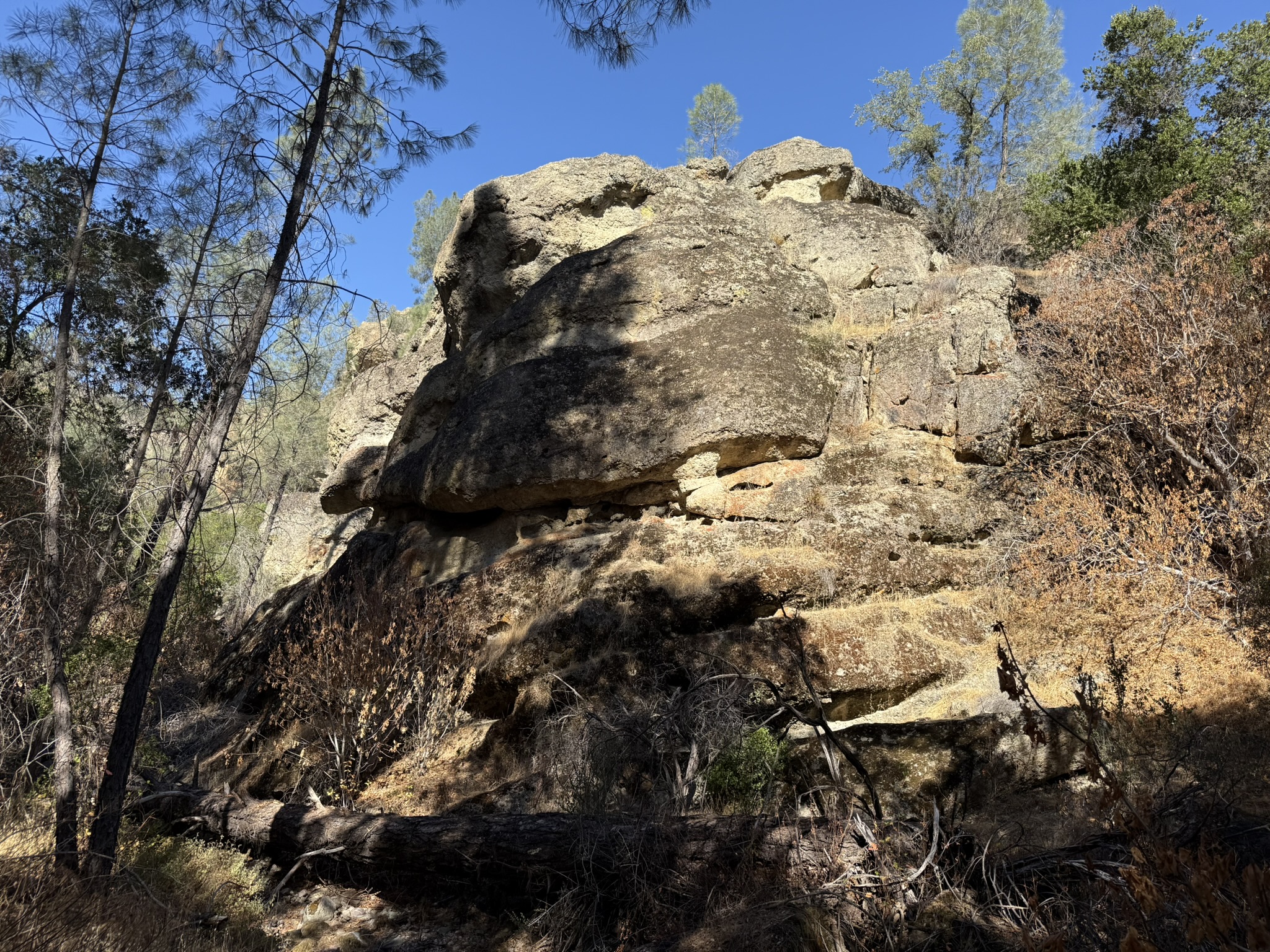 Old Pinnacles Trails