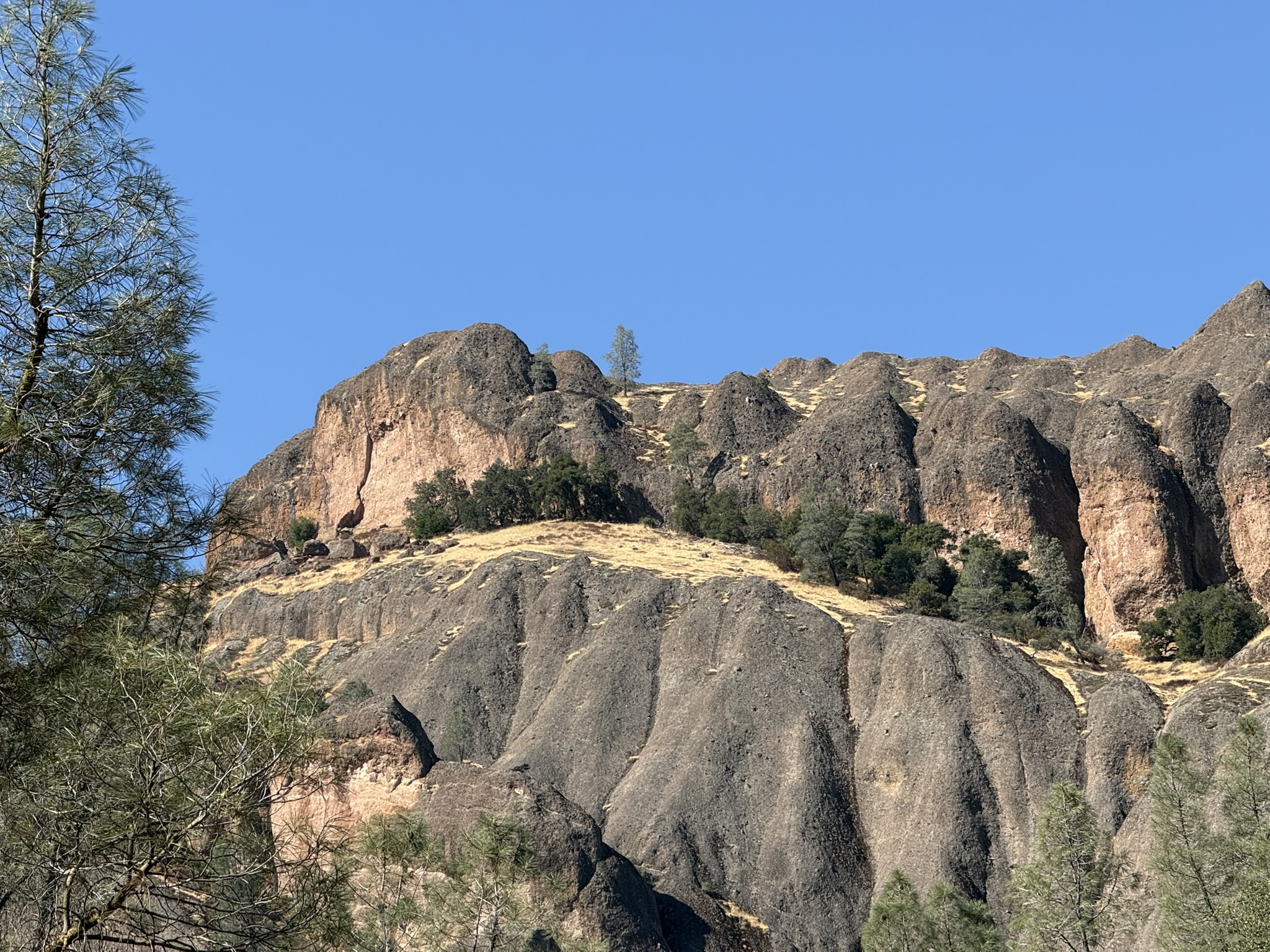 Old Pinnacles Trails