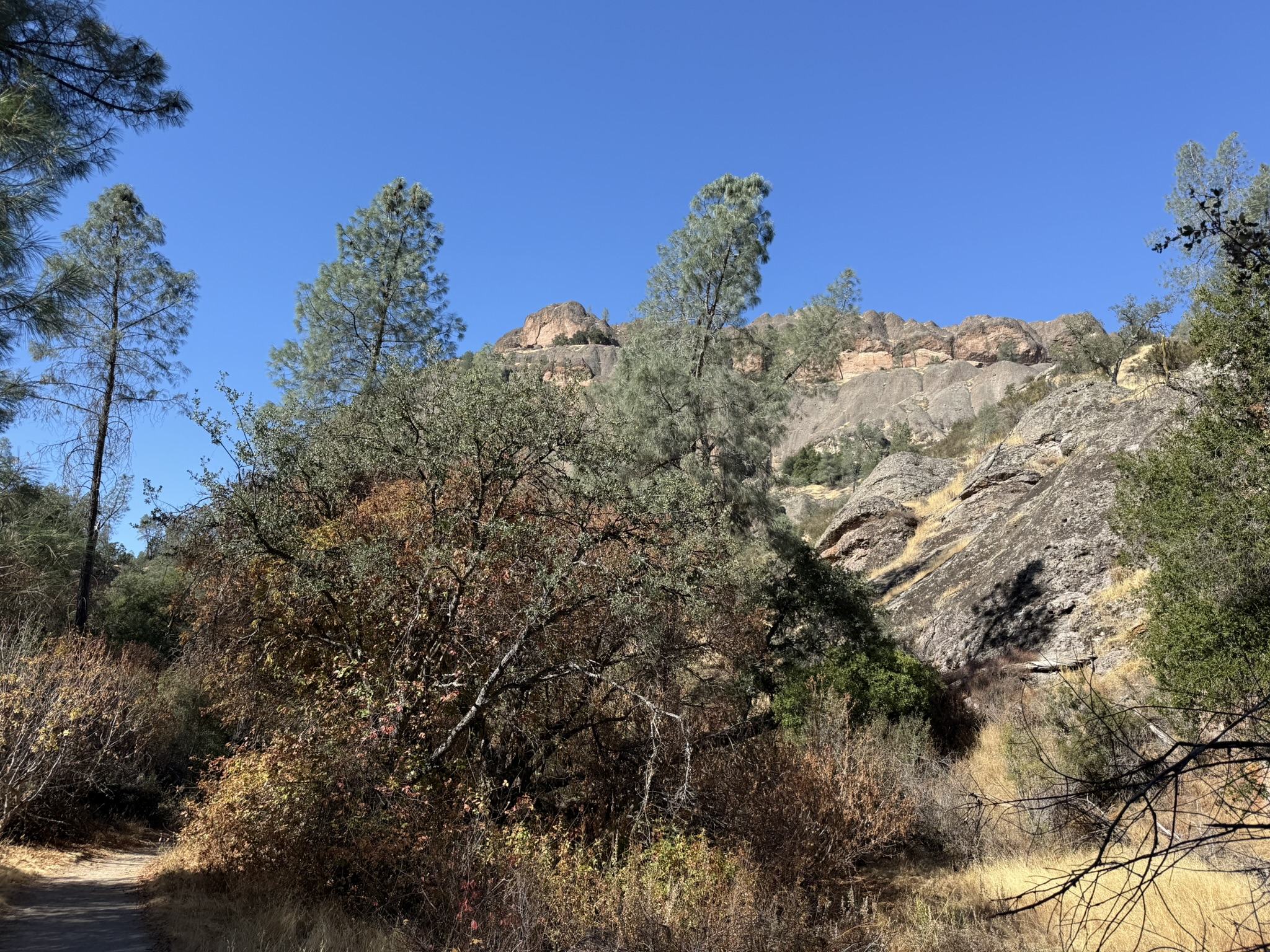 Old Pinnacles Trails