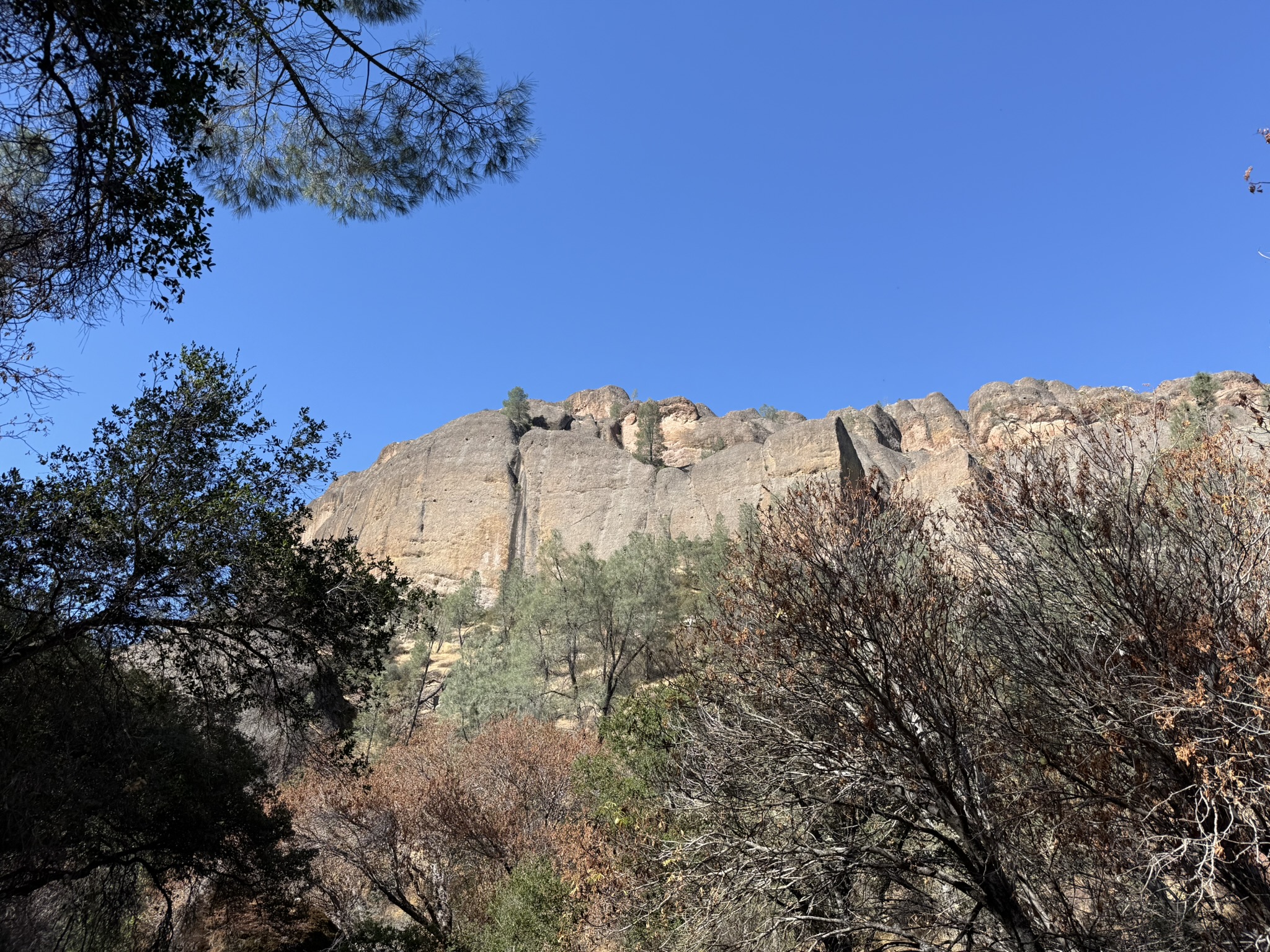 Old Pinnacles Trails