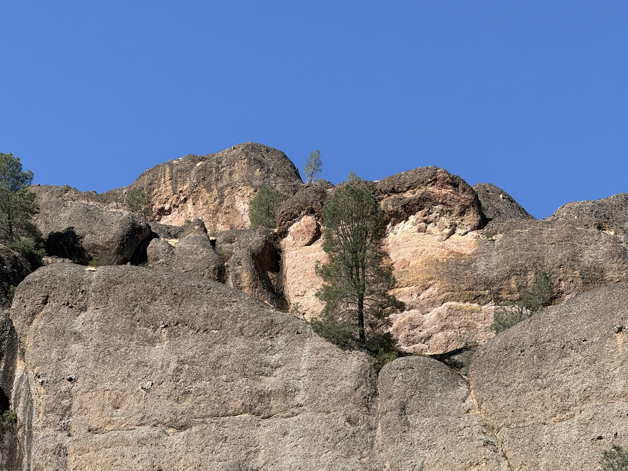 Old Pinnacles Trails