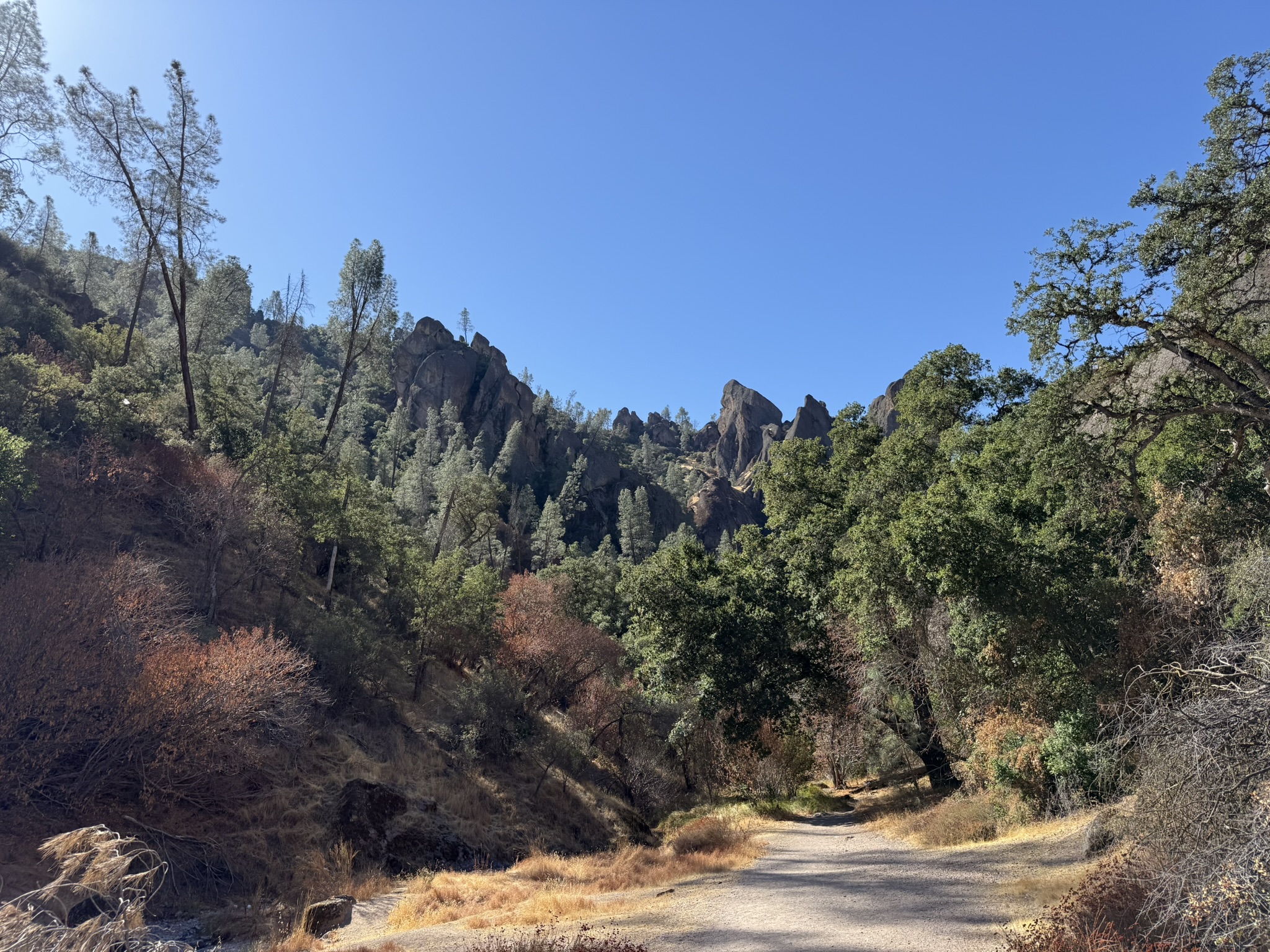 Old Pinnacles Trails