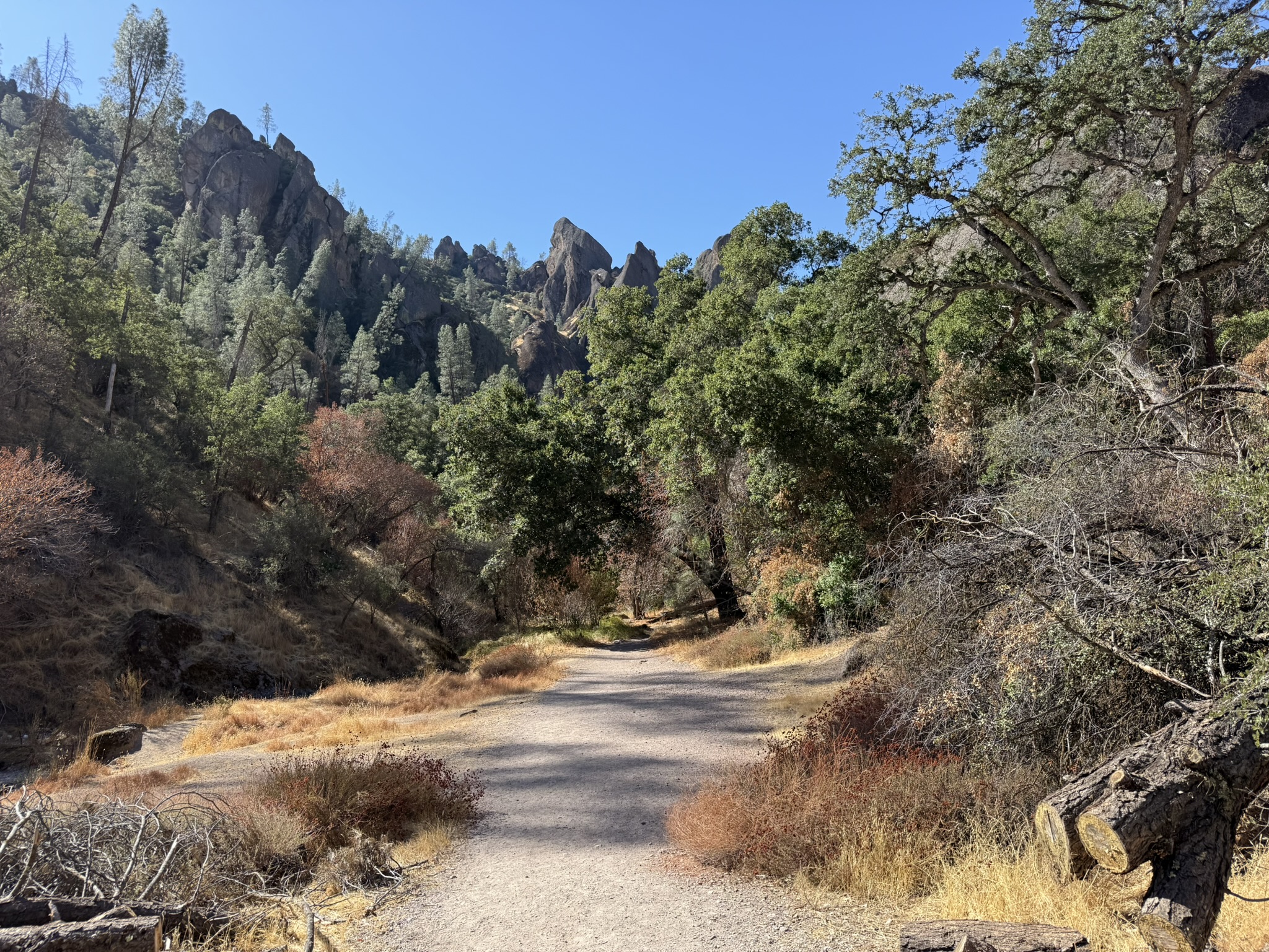 Old Pinnacles Trails