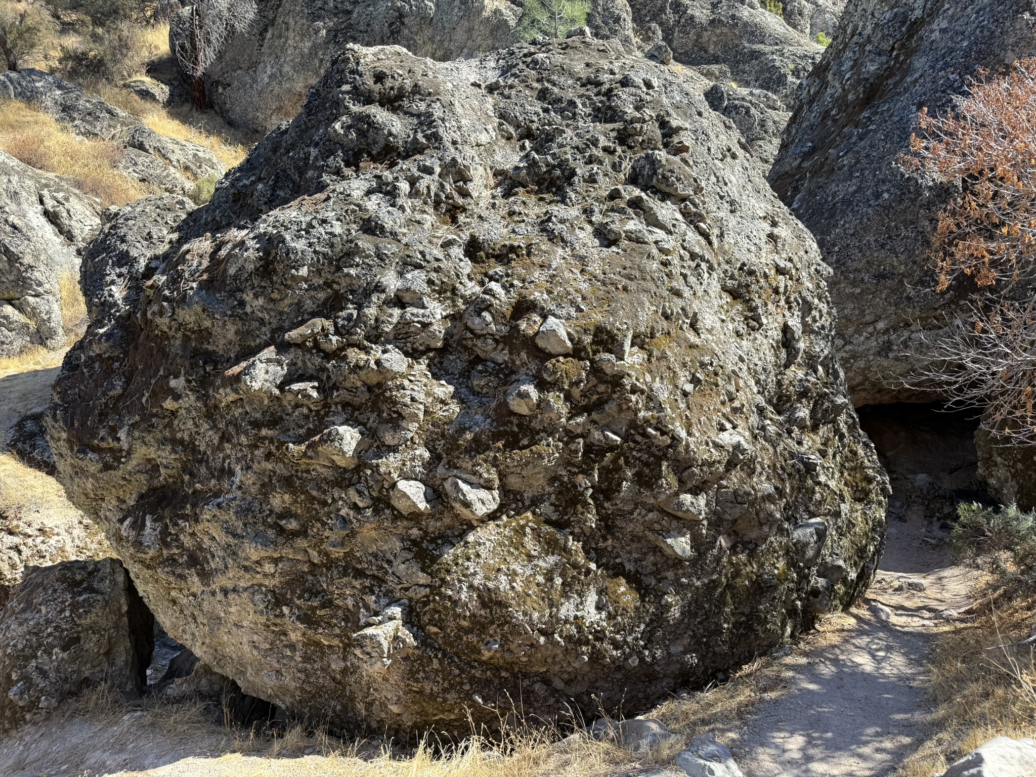 Juniper Canyon Trail