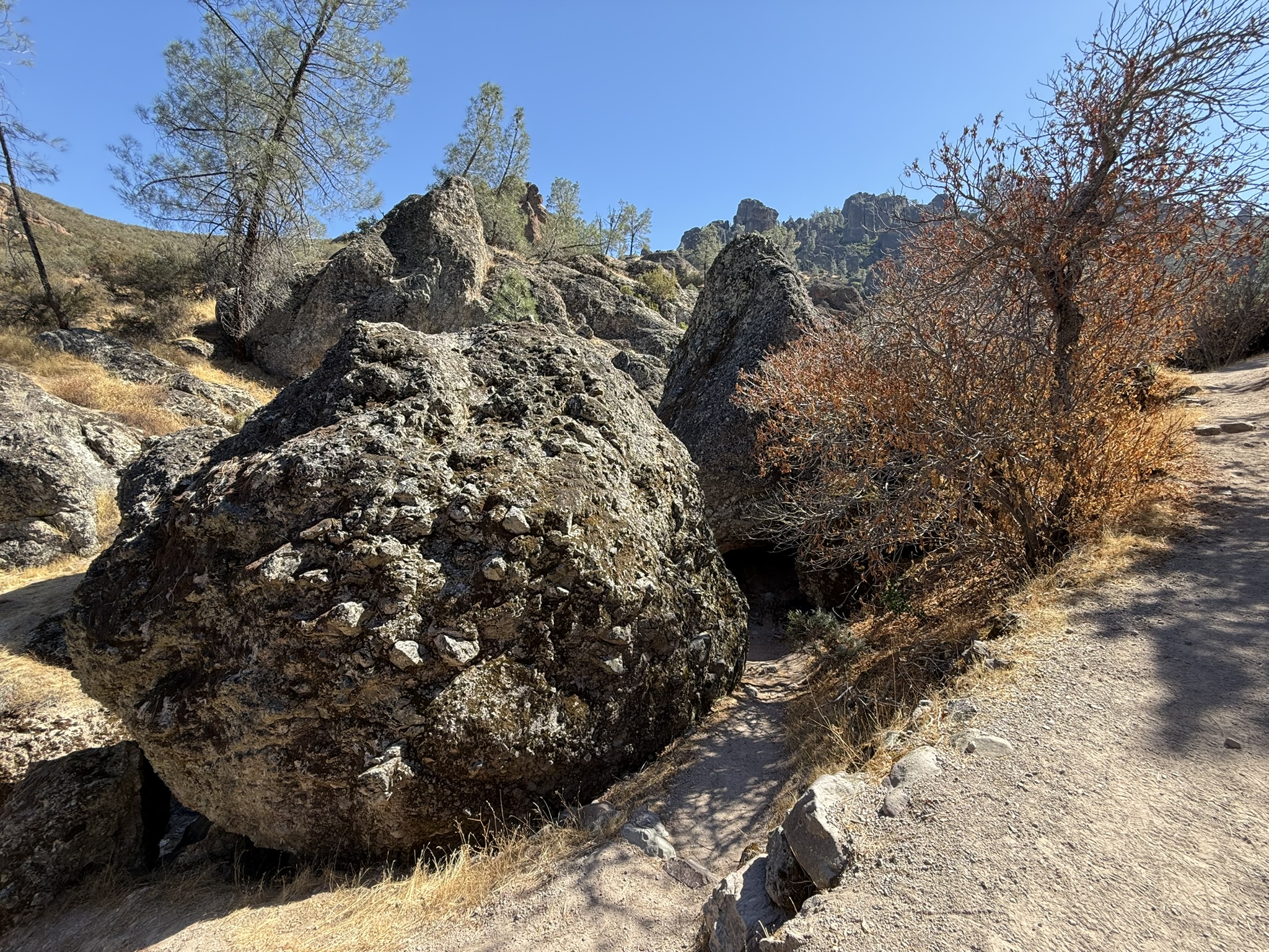 Juniper Canyon Trail