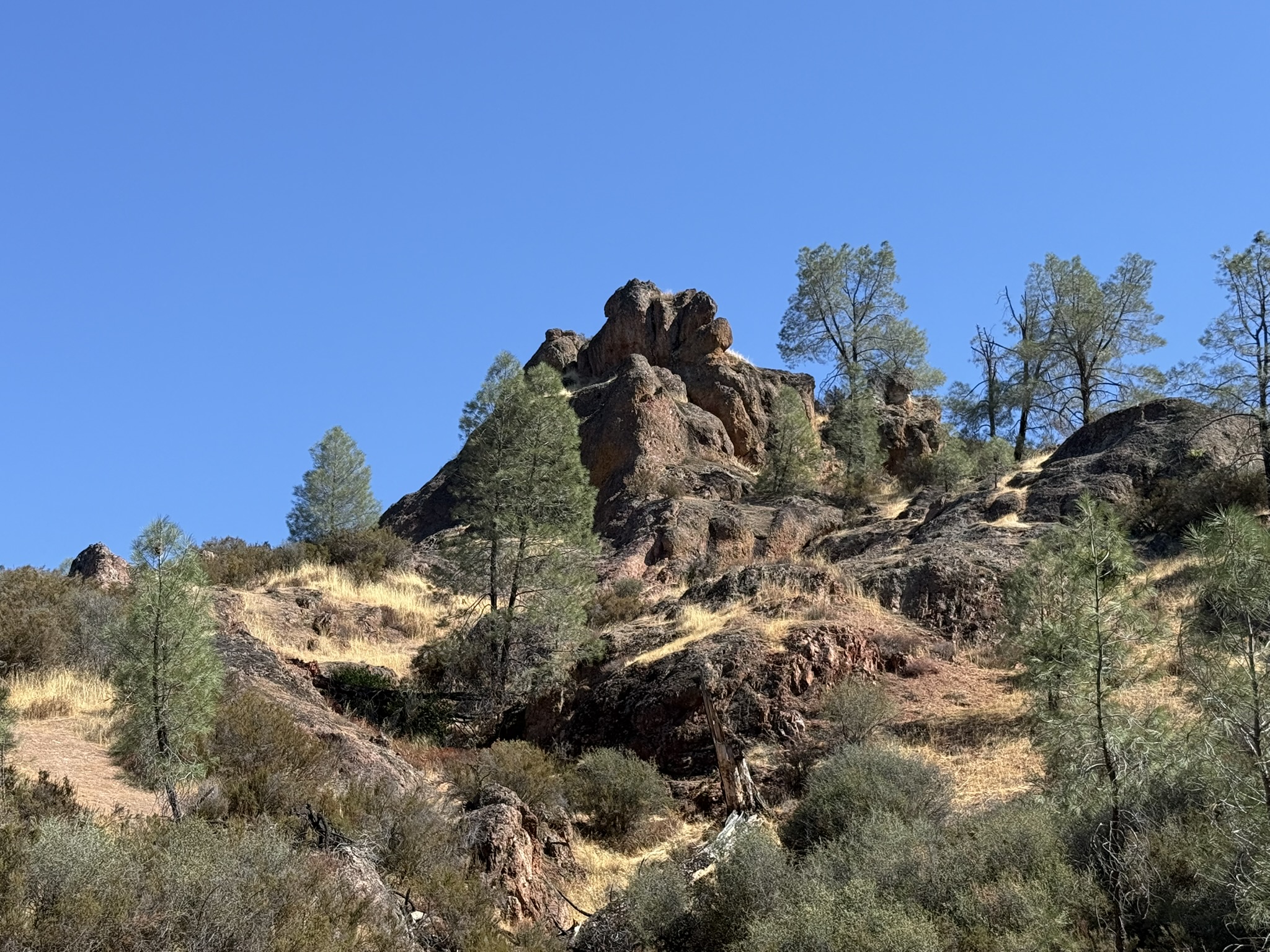 Juniper Canyon Trail