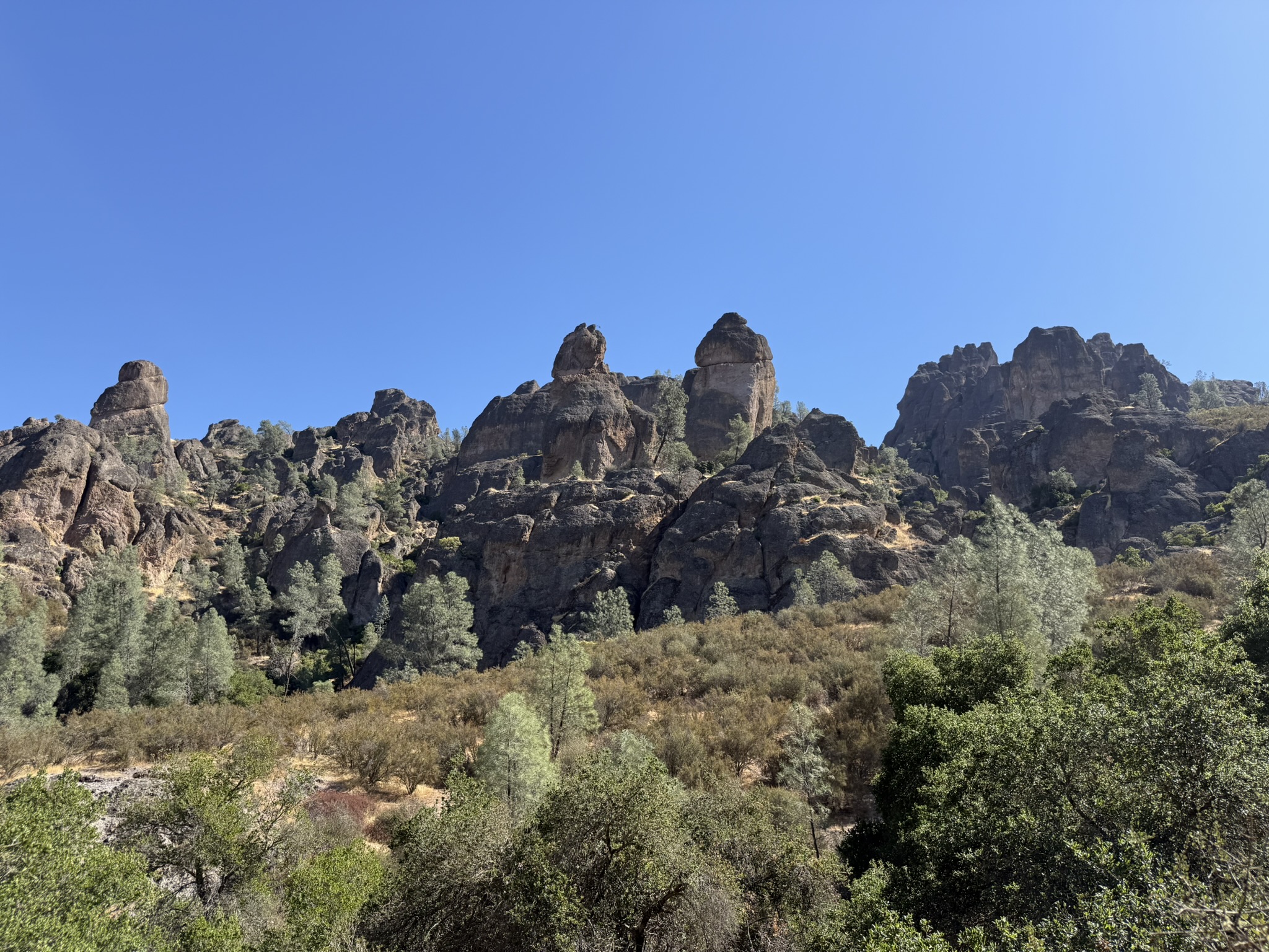 Juniper Canyon Trail