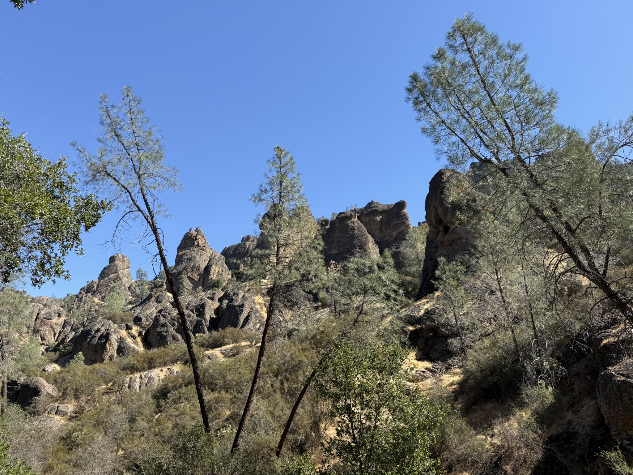 Juniper Canyon Trail