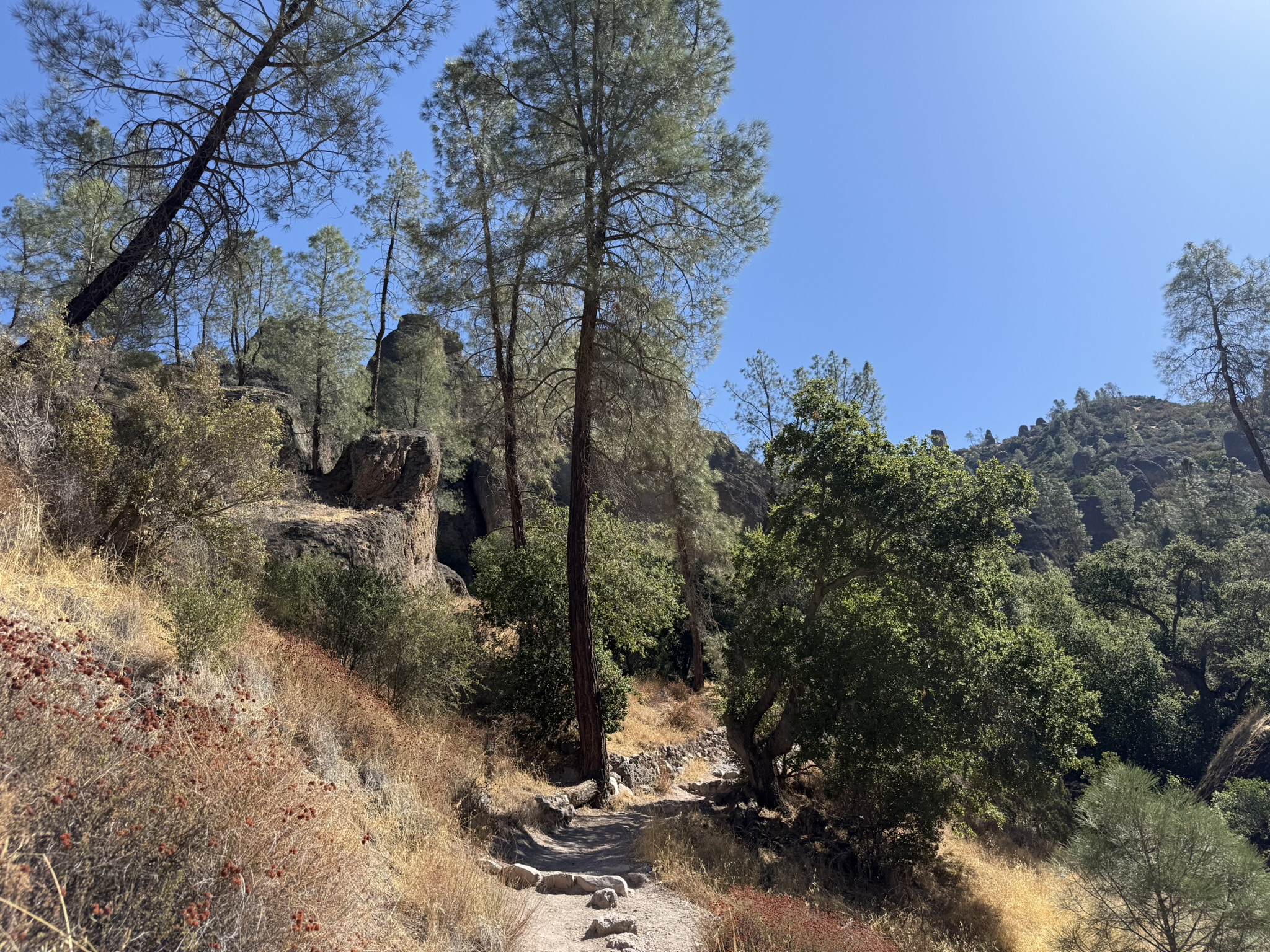 Juniper Canyon Trail