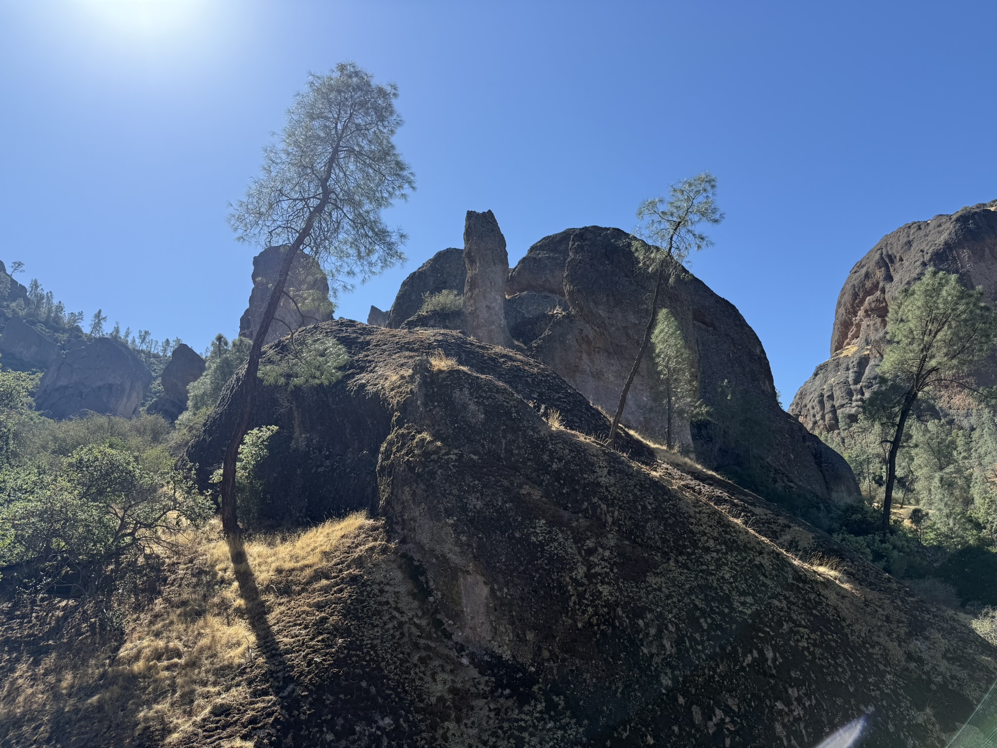 Juniper Canyon Trail