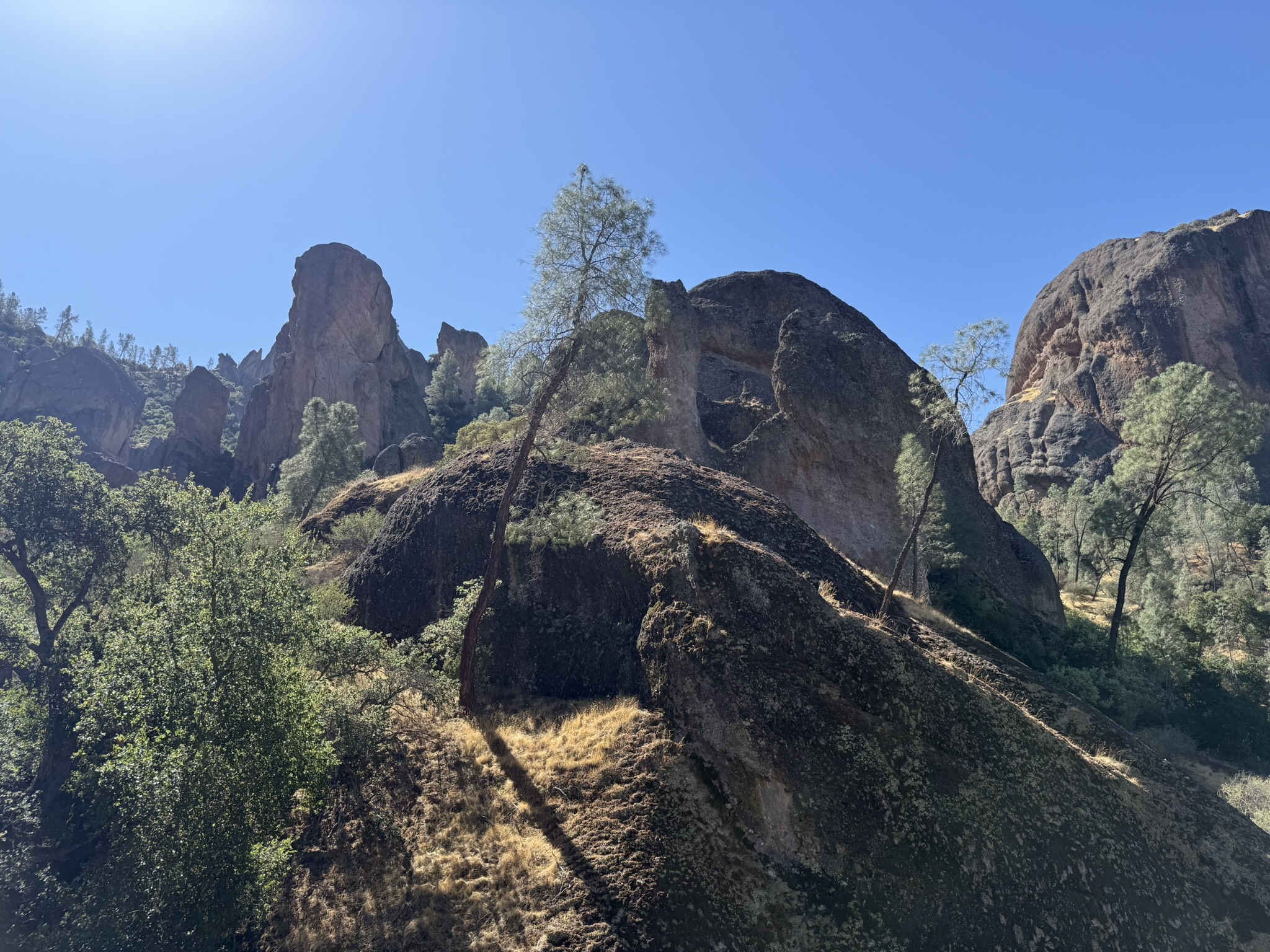 Juniper Canyon Trail