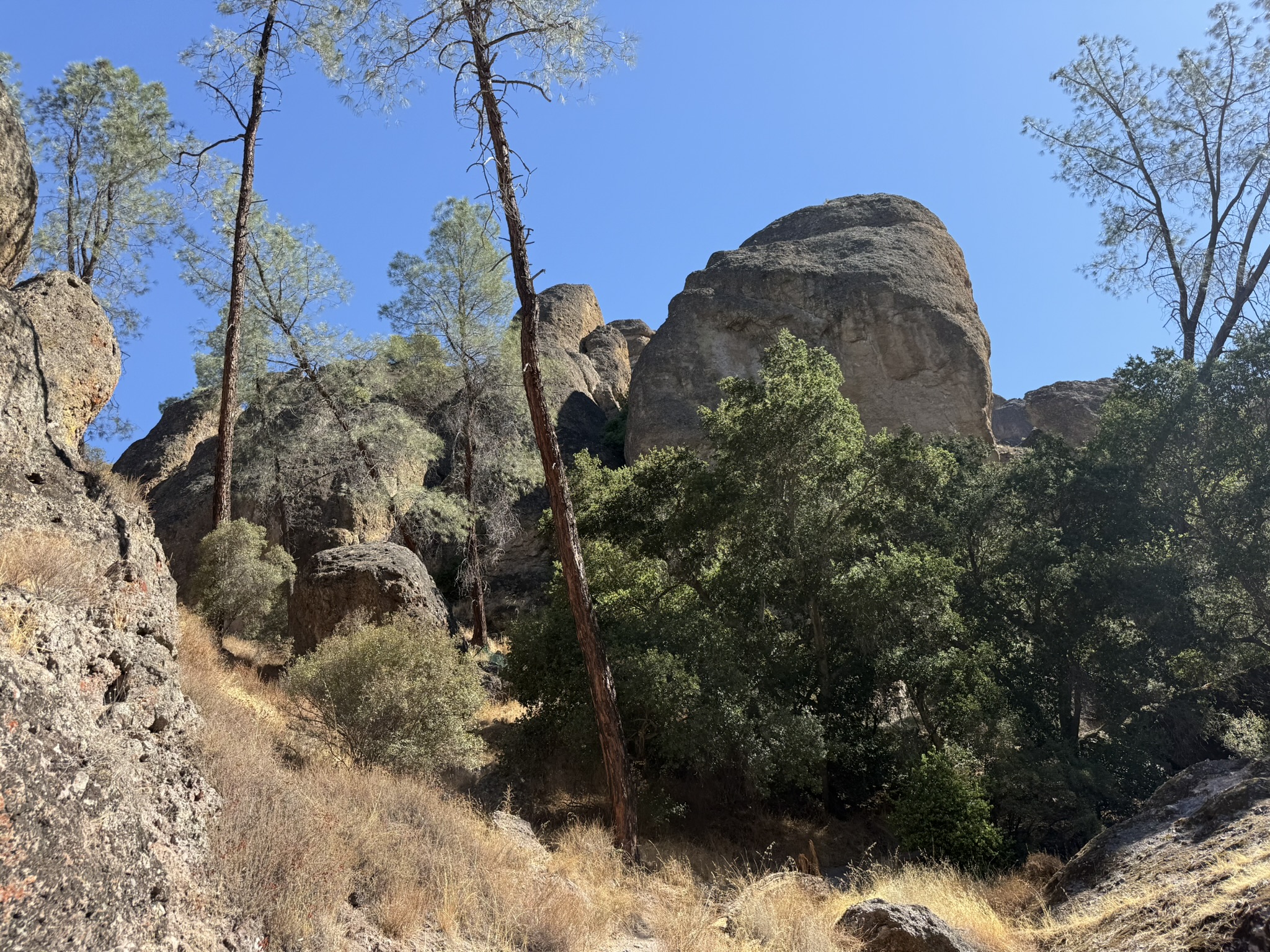 Juniper Canyon Trail