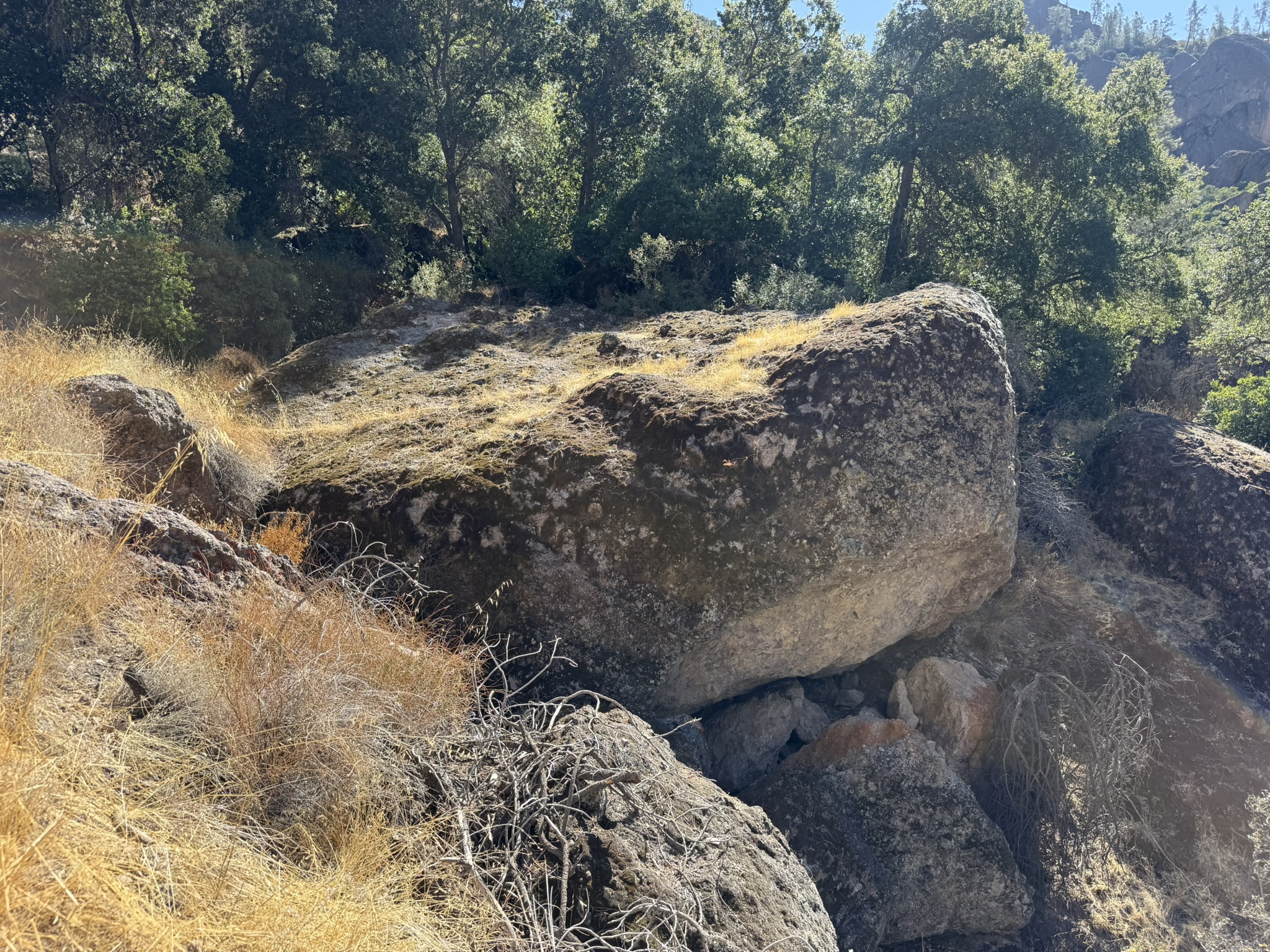 Juniper Canyon Trail