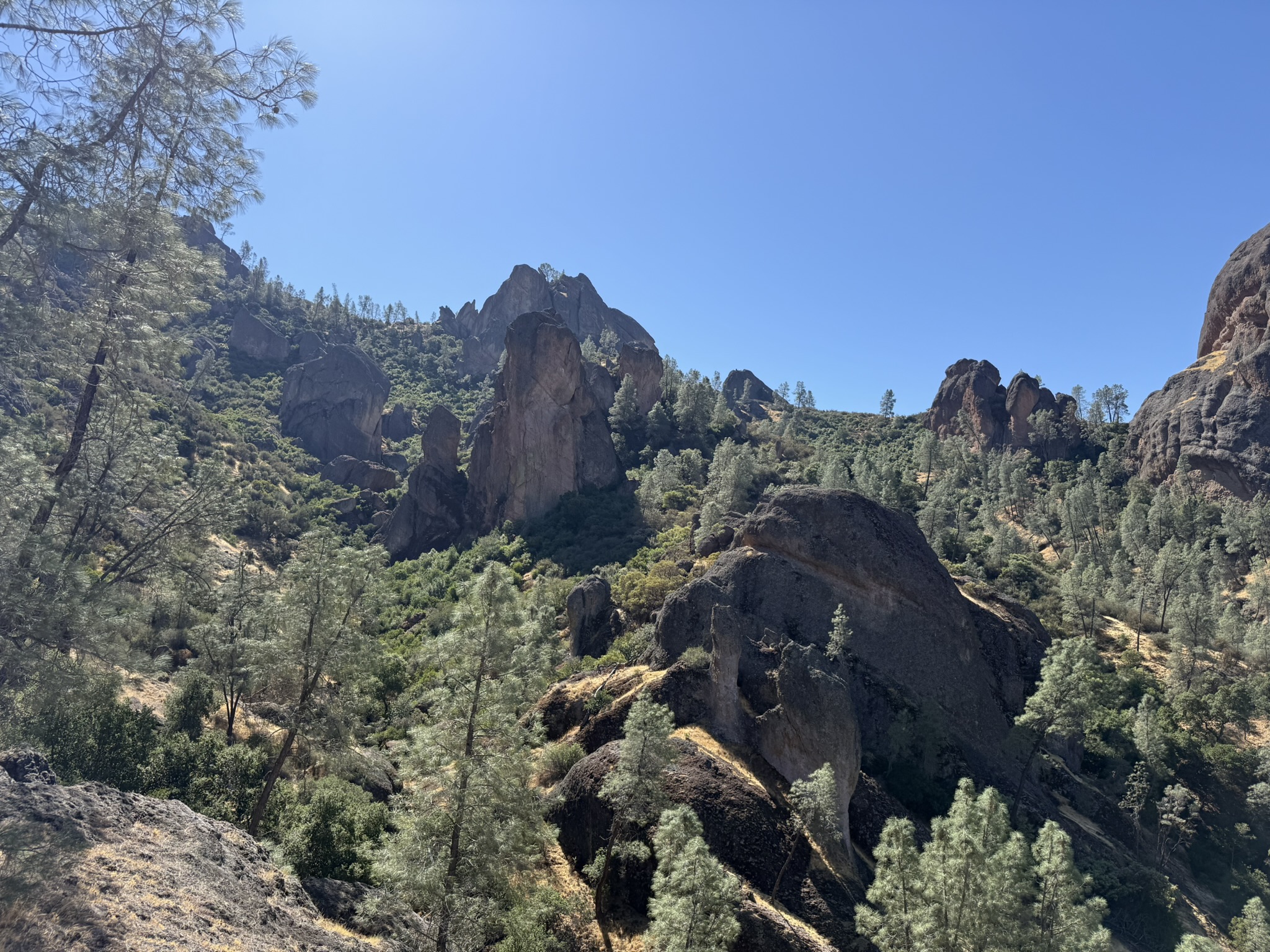 Juniper Canyon Trail