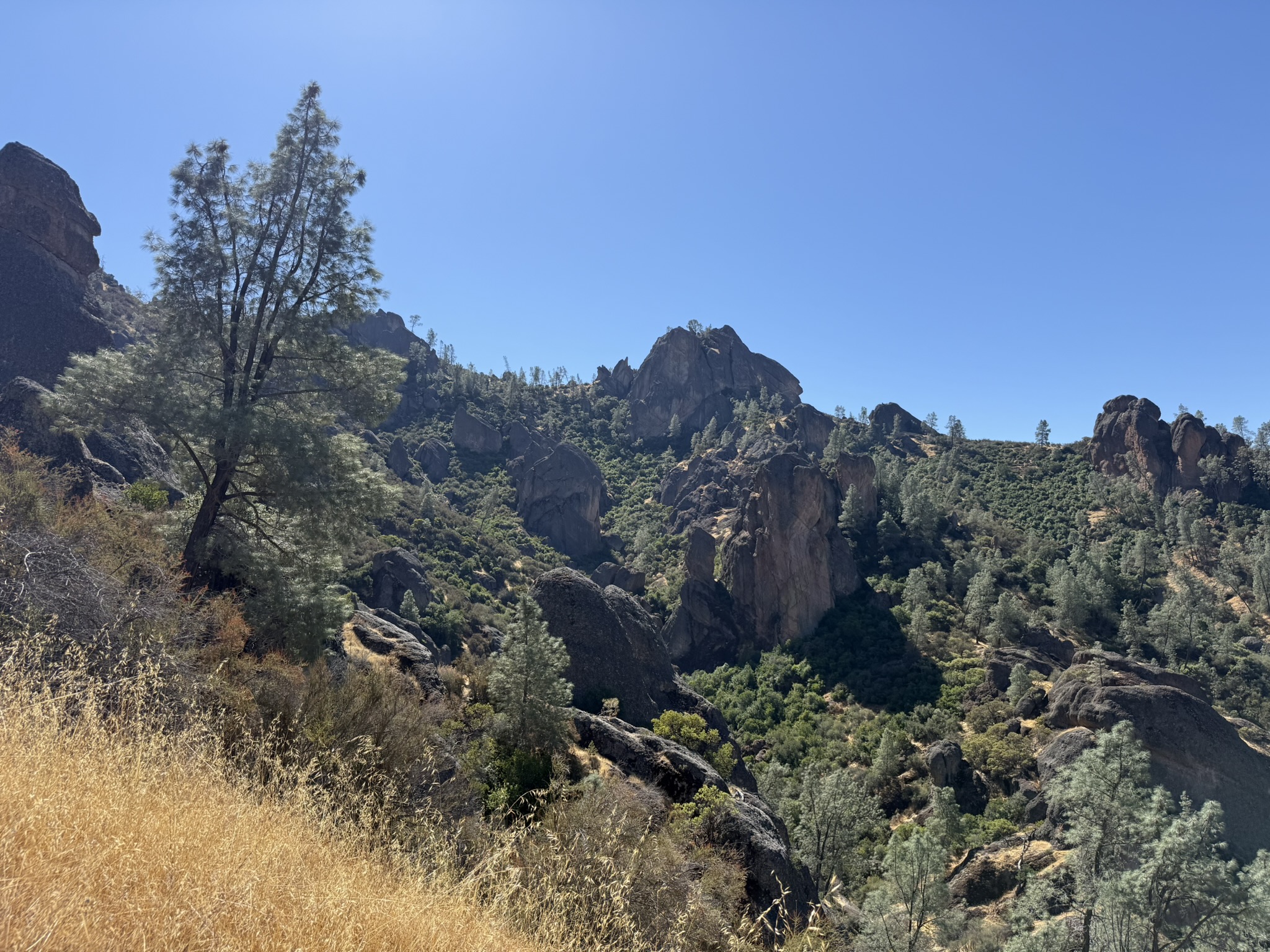 Juniper Canyon Trail