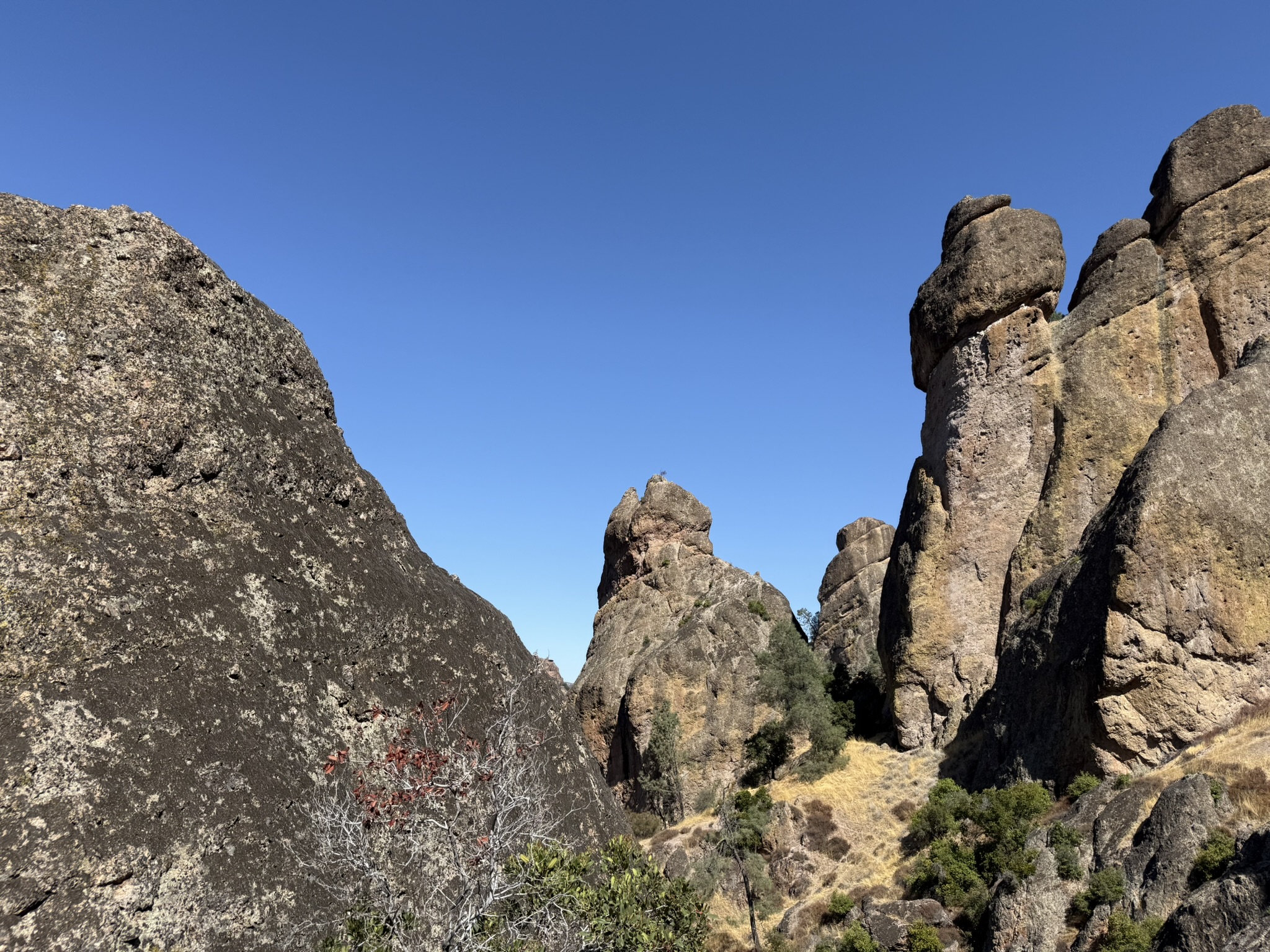 Juniper Canyon Trail