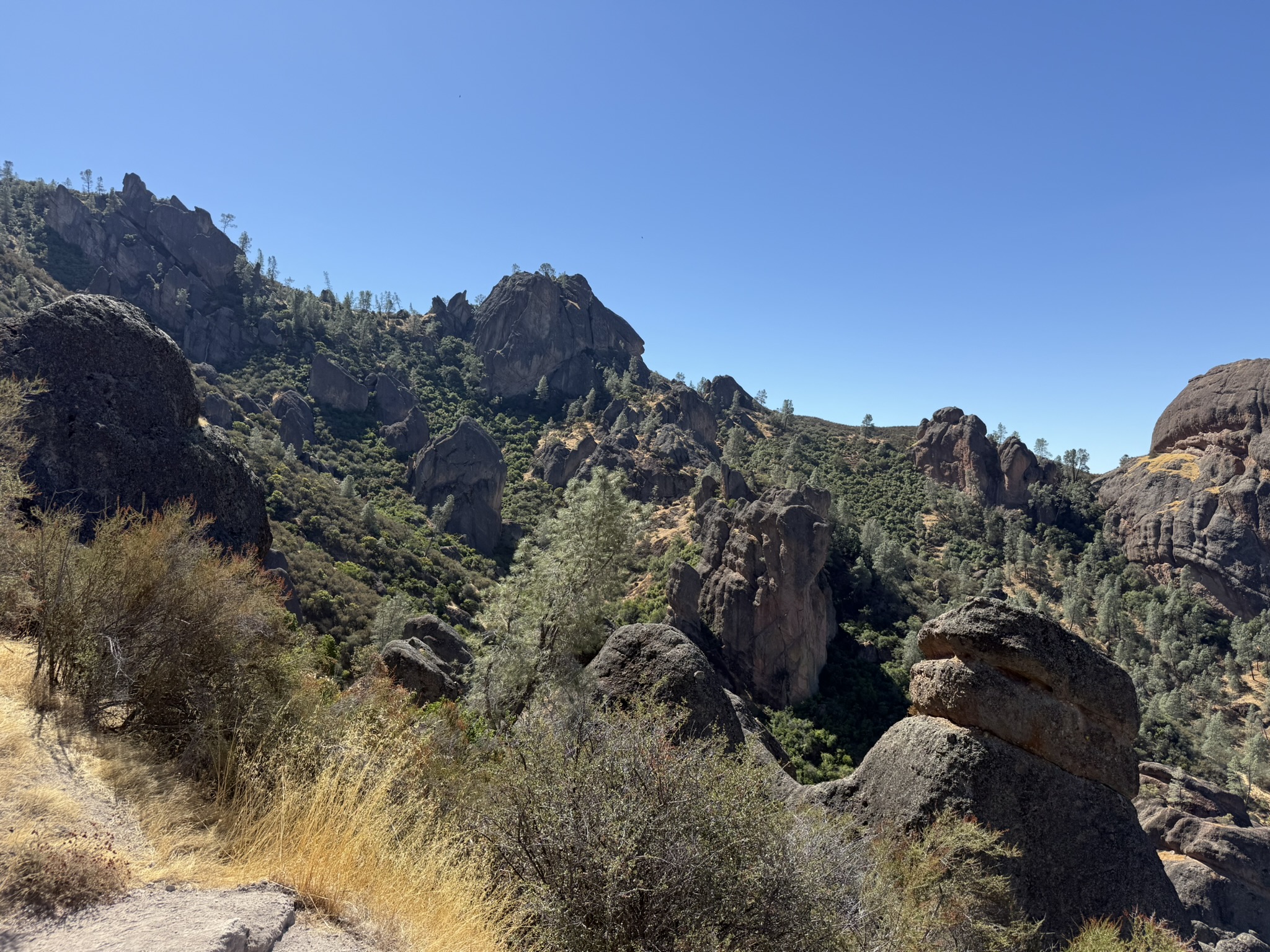 Juniper Canyon Trail