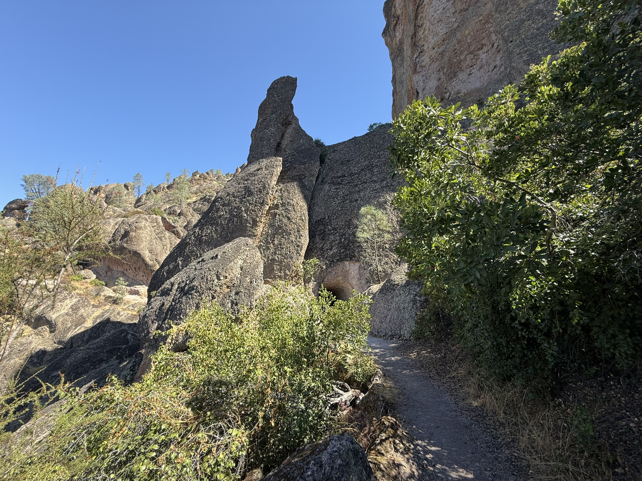 Tunnel Trail