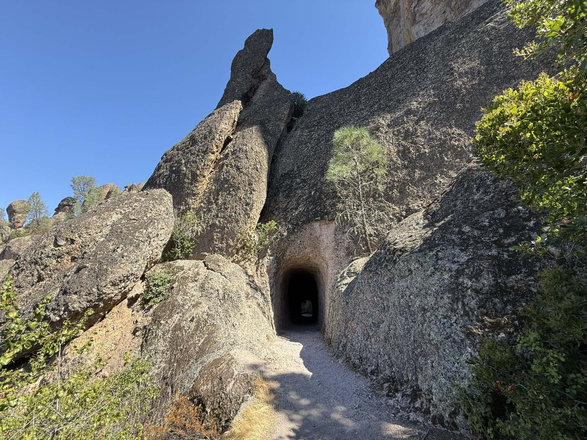 Tunnel Trail