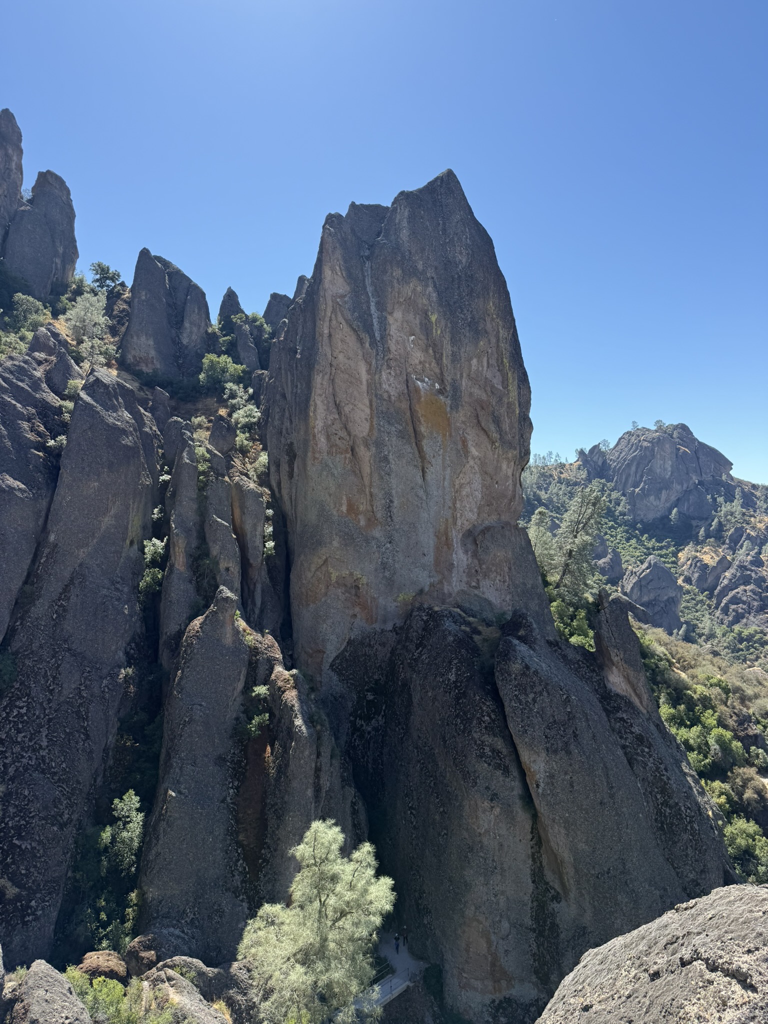 High Peaks Trail