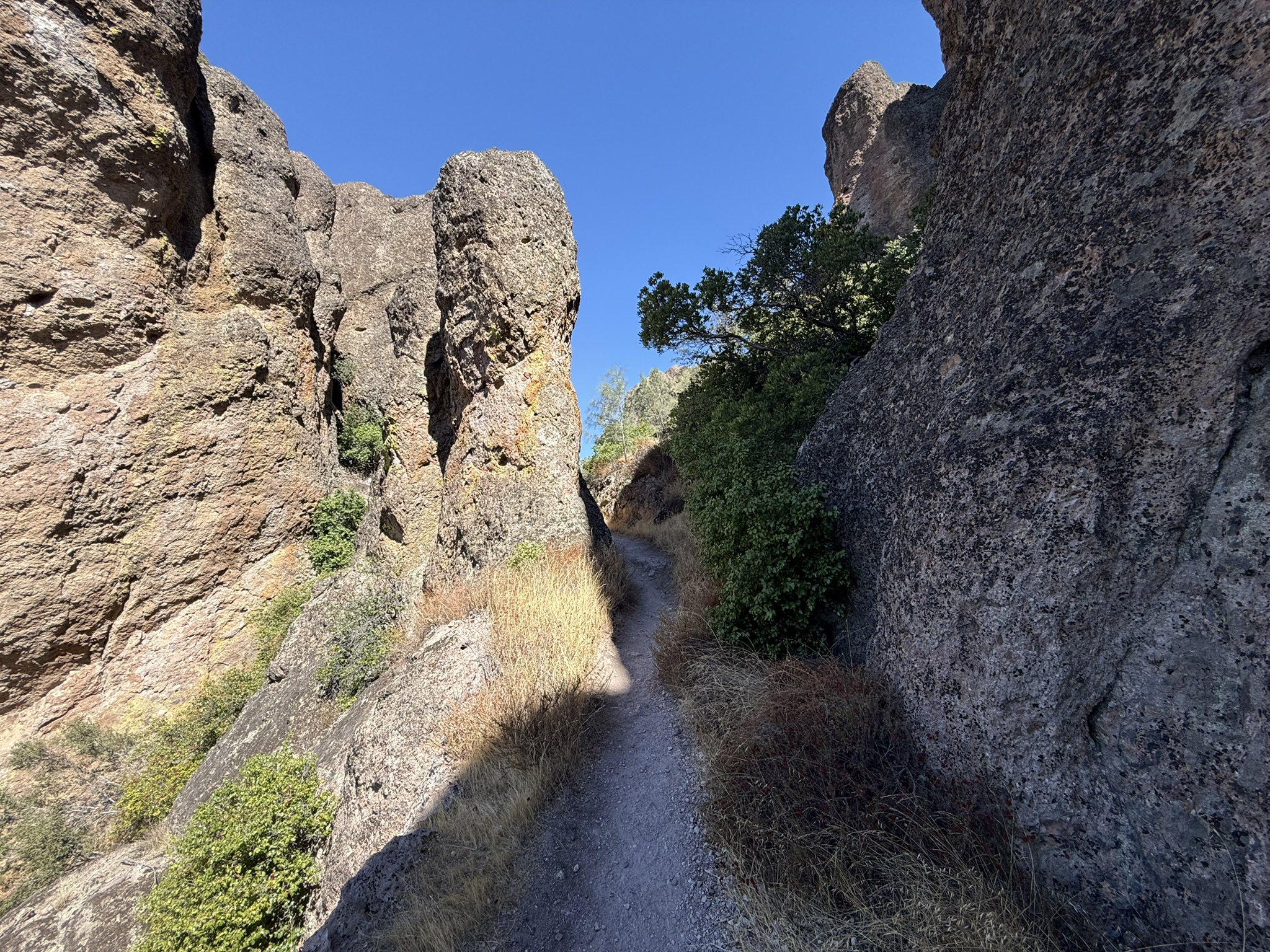 High Peaks Trail