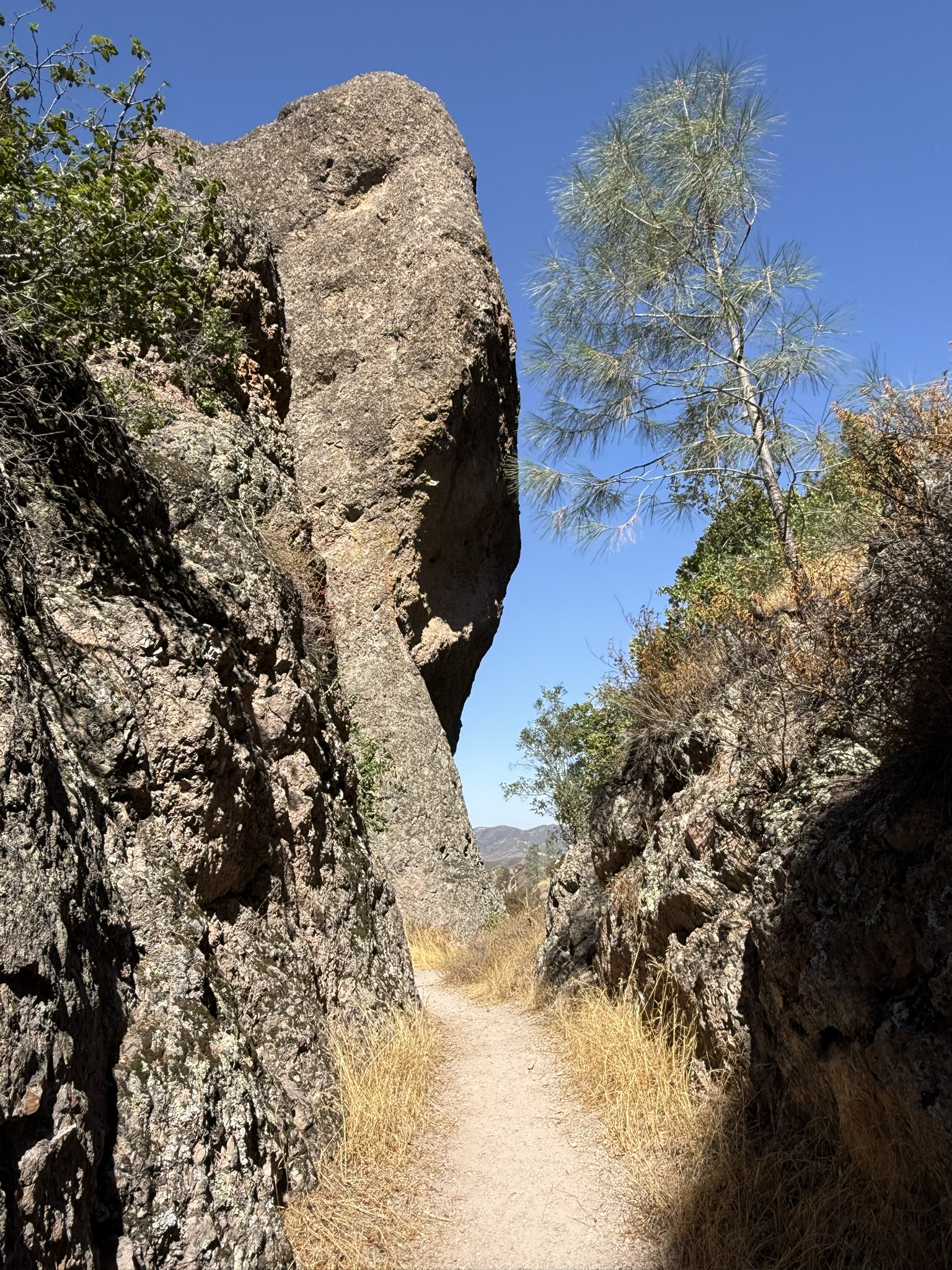 High Peaks Trail