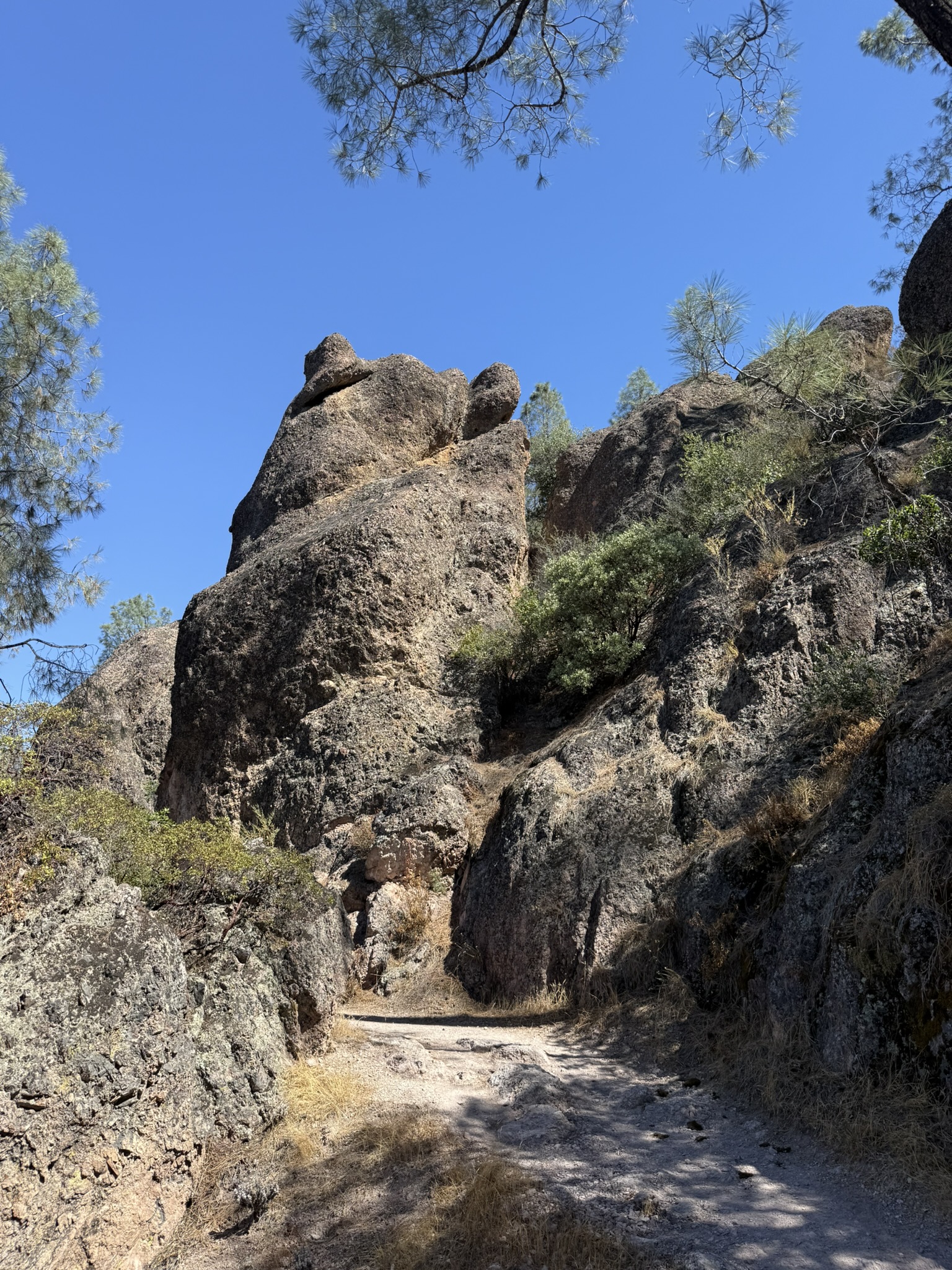 High Peaks Trail