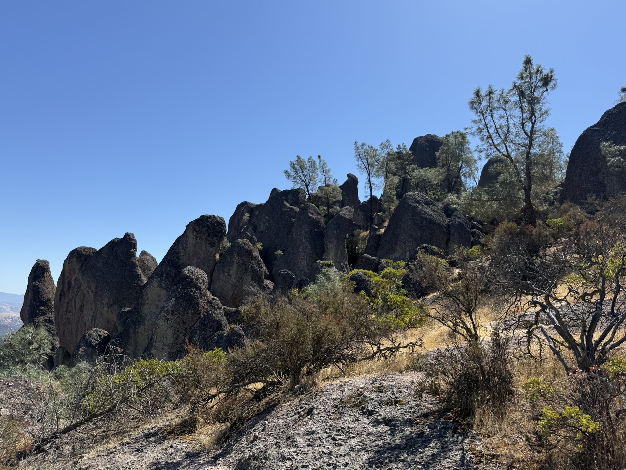 Condor Gulch Trail